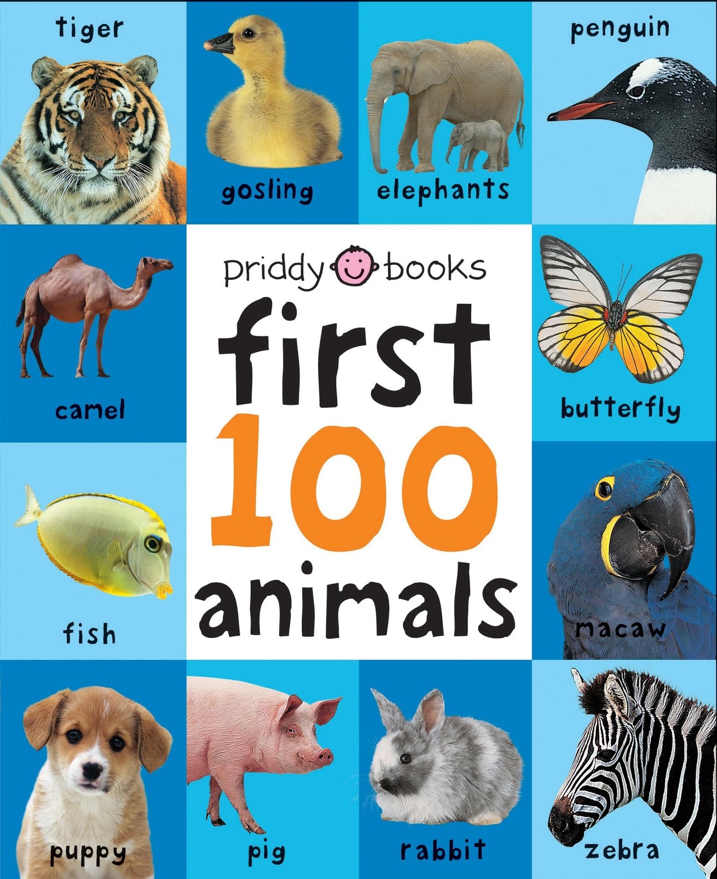 Libro: First 100 Animals (First 100 Soft to Touch Board Books), portadas aleatorias