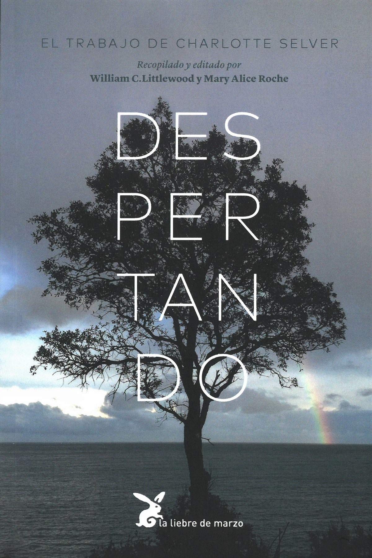 Libro: Despertando