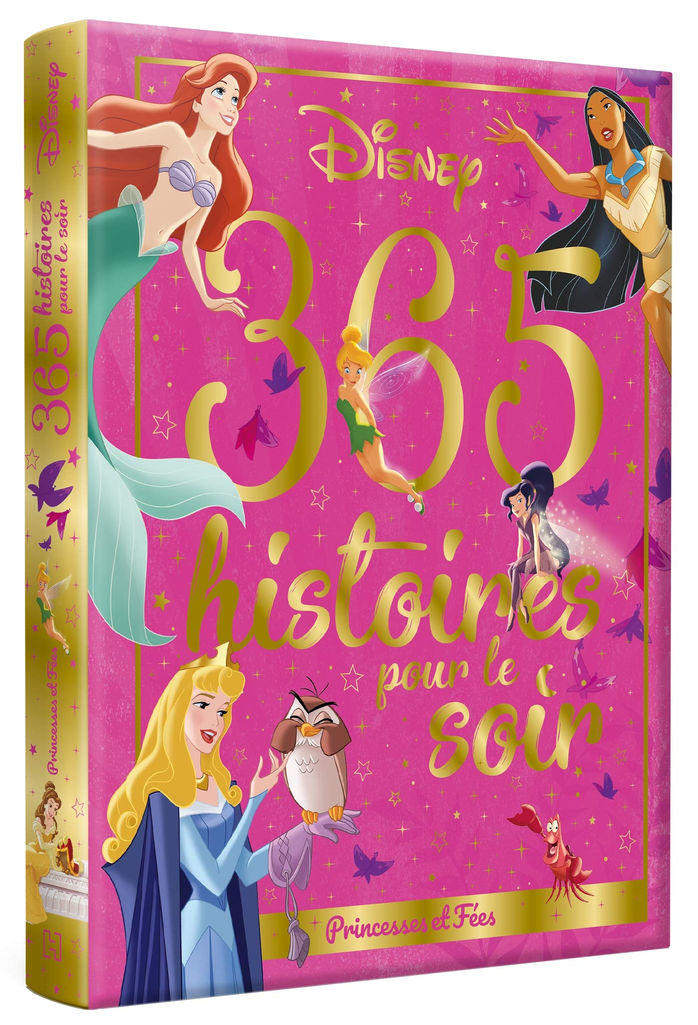 Libro: 365 histoires pour le soir Princesses et fées