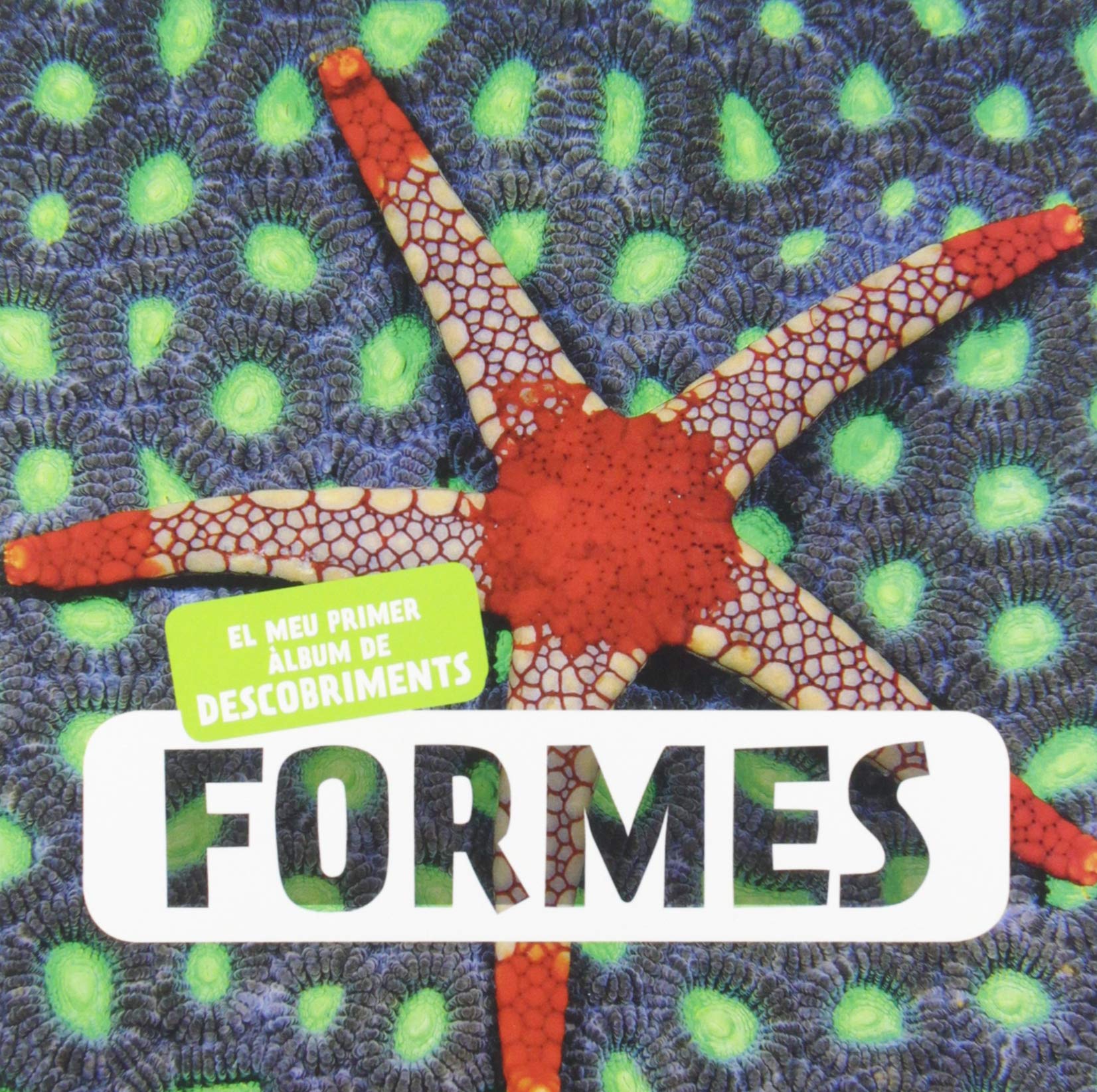 Libro: Formes (EL MEU PRIMER ALBUM DE DESCOBRIMENTS)