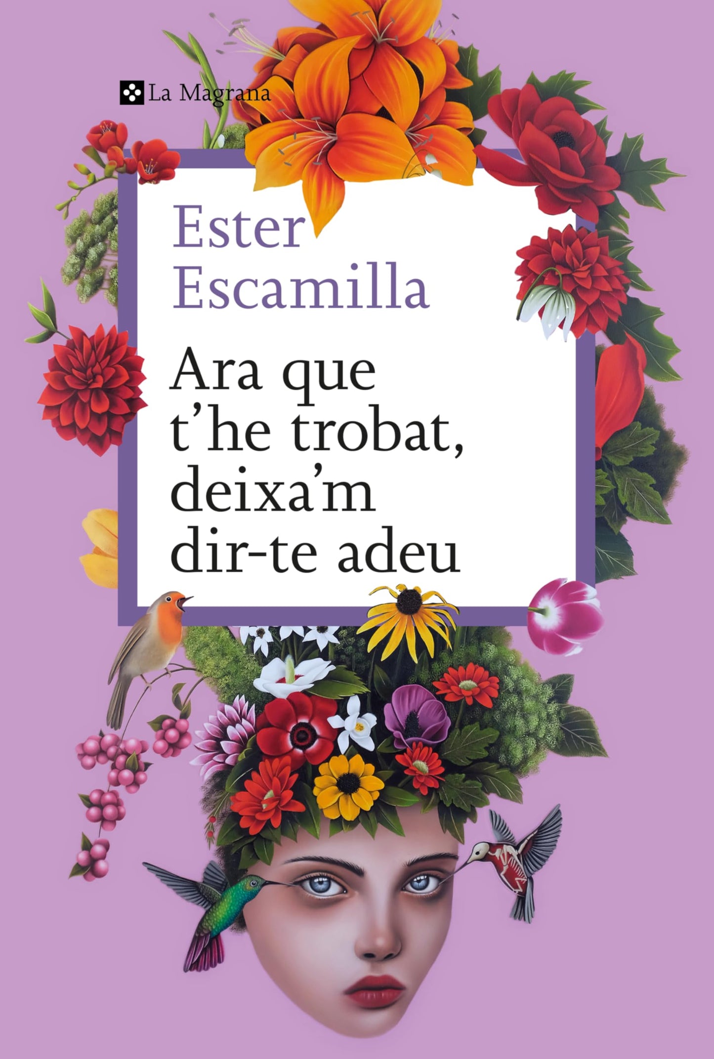 Libro: Ara que t'he trobat, deixa'm dir-te adeu