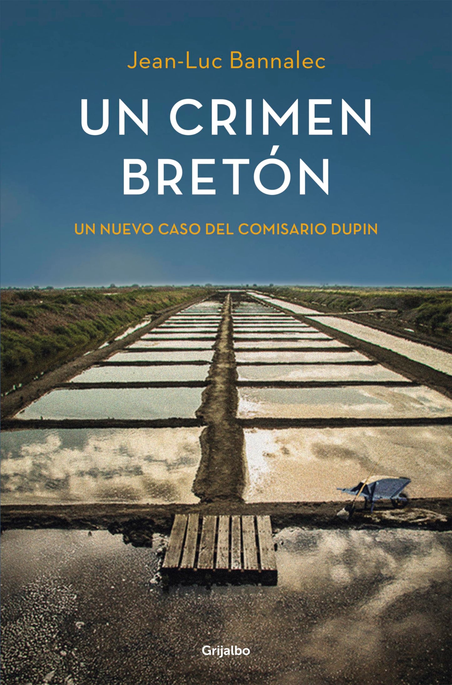 Libro: Un crimen bretón (Comisario Dupin 3)