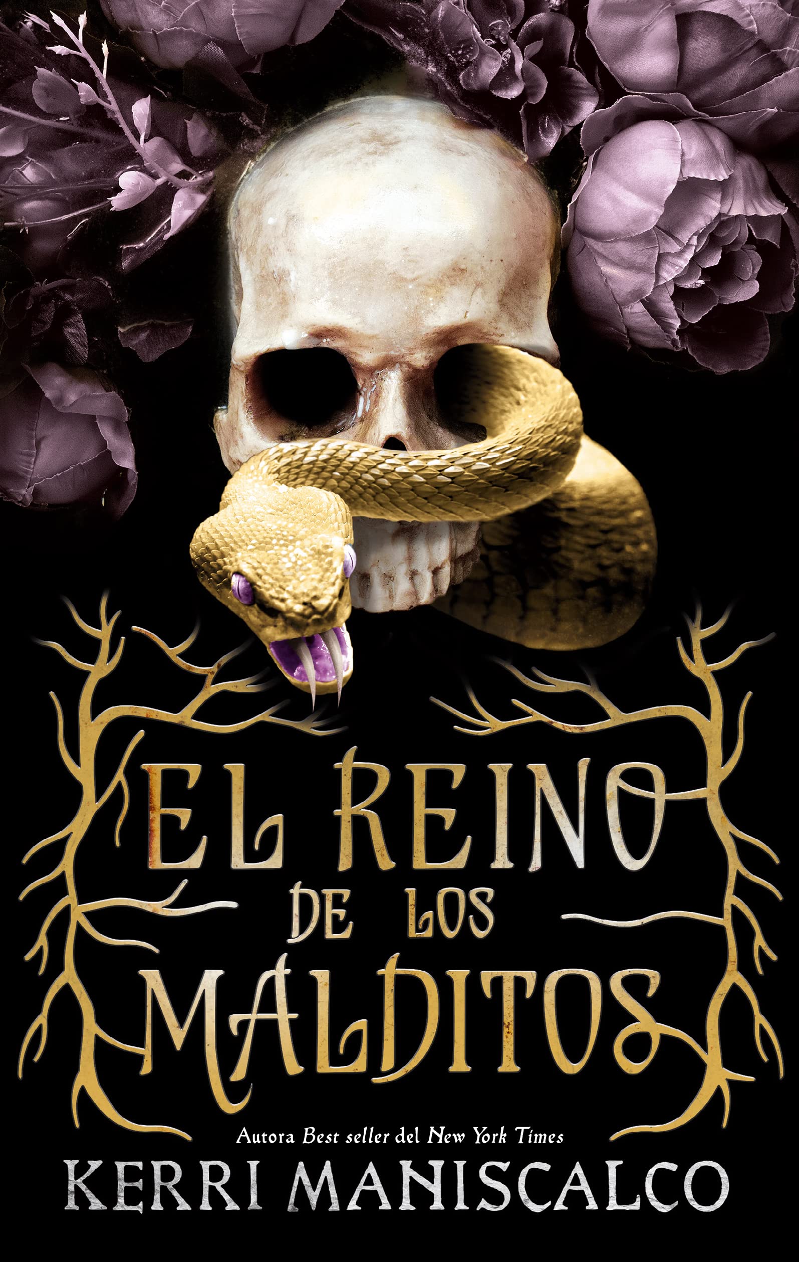 Libro: El reino de los malditos