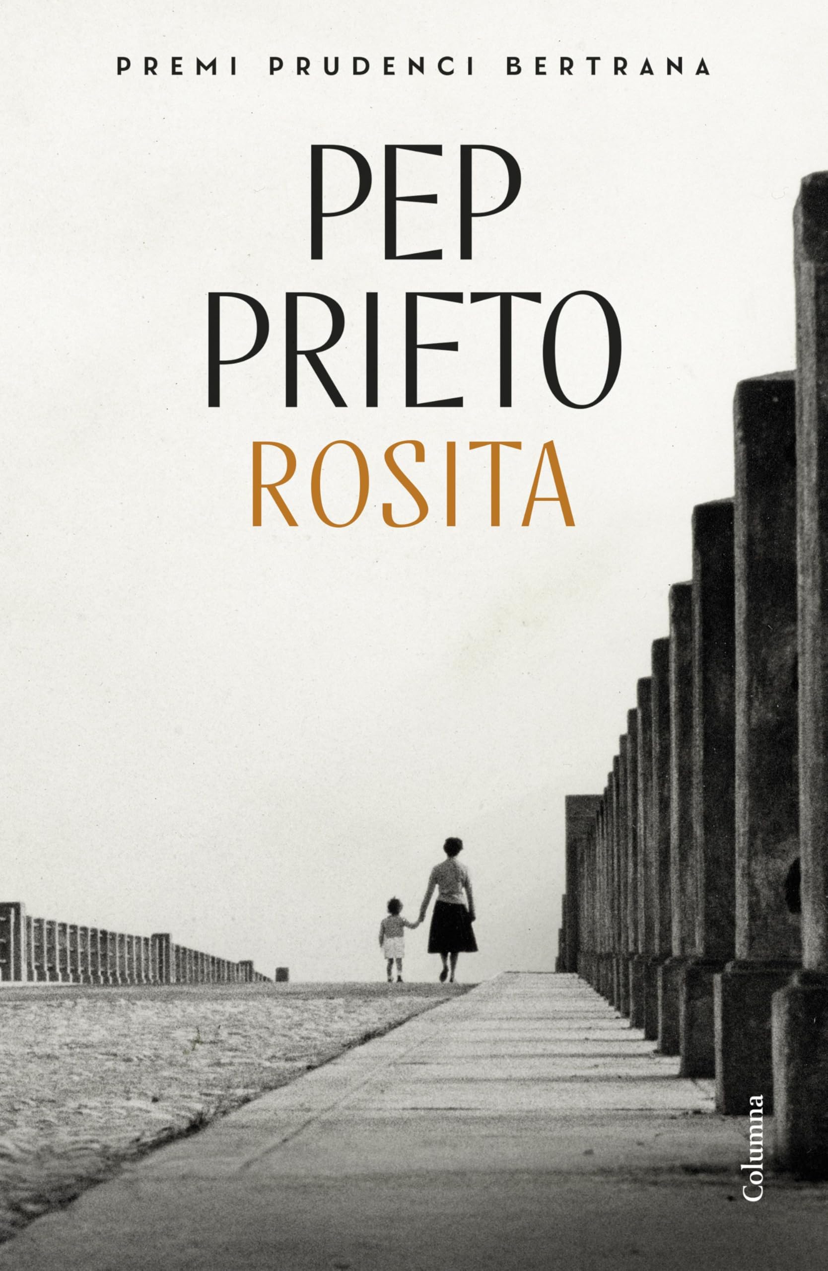 Libro: Rosita: Premi Prudenci Bertrana 2025