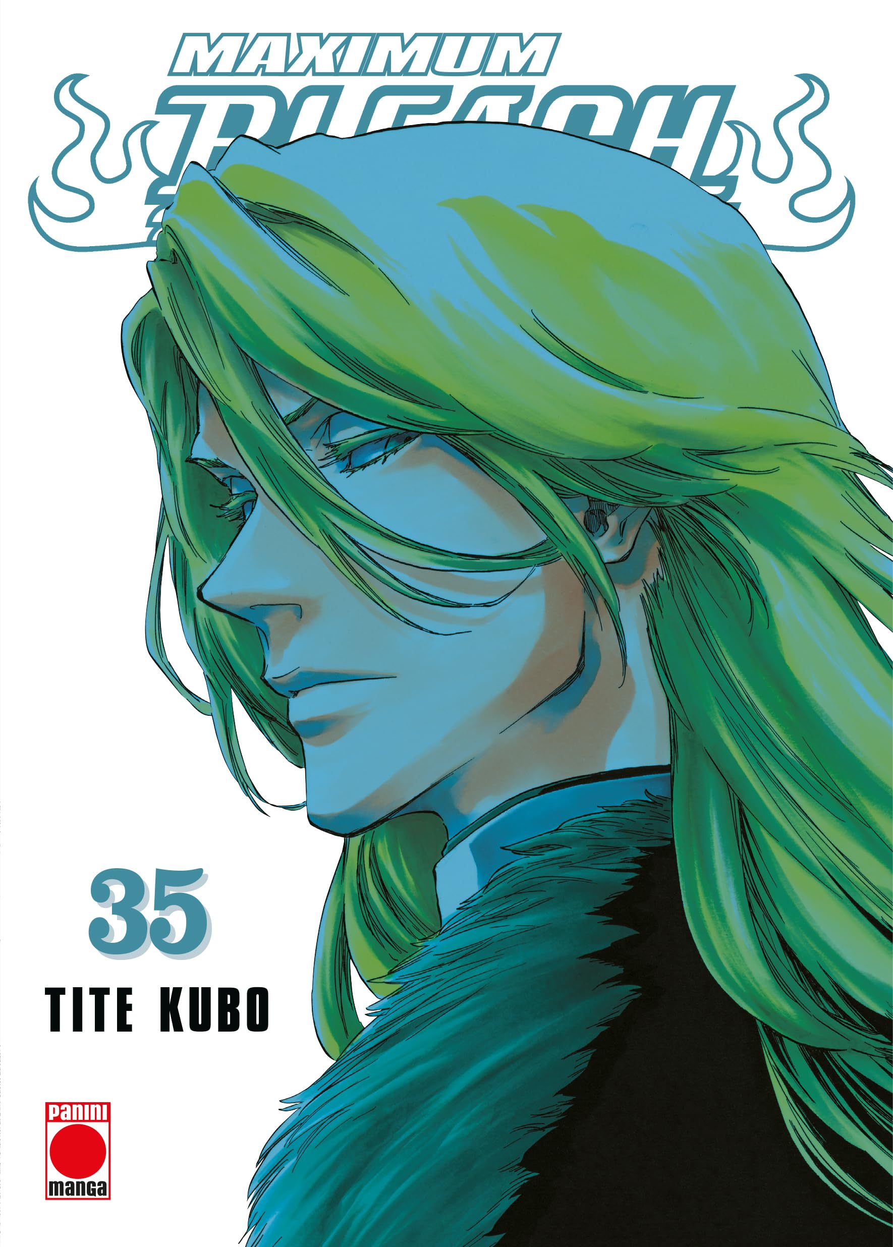 Libro: Maximum bleach n.35