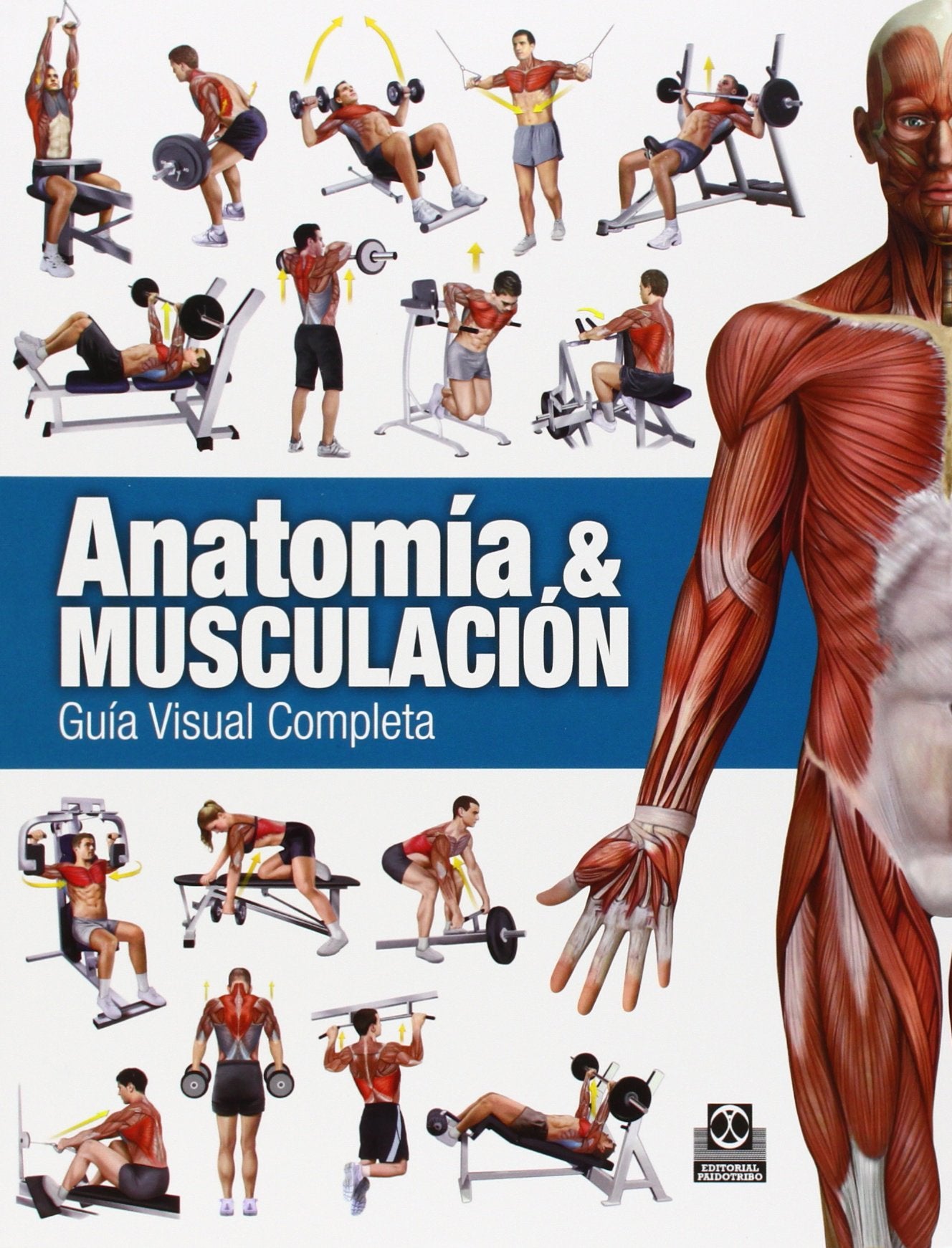 Anatomía & Musculación. Guía visual completa: 0027 (Deportes)
