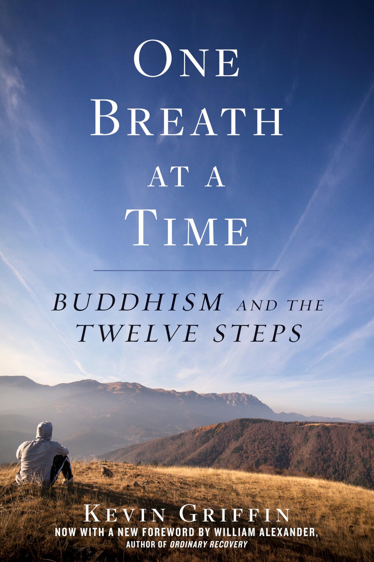 Libro: One Breath at a Time: Buddhism and the Twelve Steps