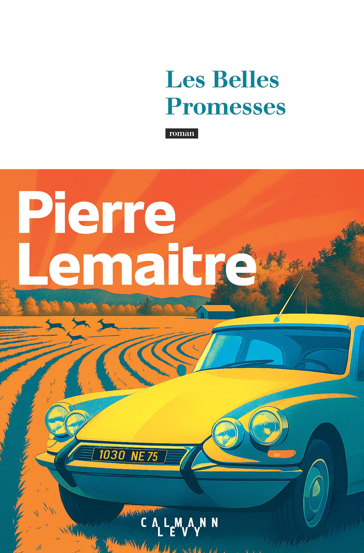 Libro: Les belles promesses: roman