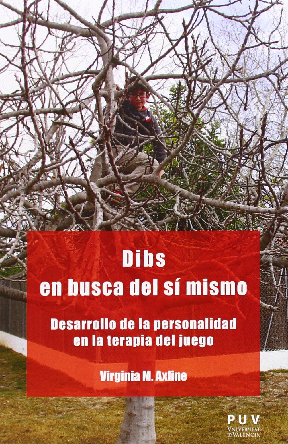 Libro: Dibs en busca del sí mismo: Desarrollo de la personalidad en la terapia del juego