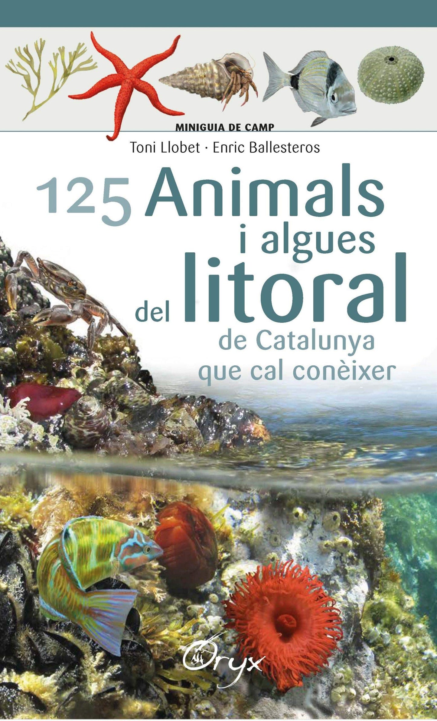Libro: 125 Animals I Algues Del Litoral De Catalunya: que cal conèixer (Miniguia de camp)