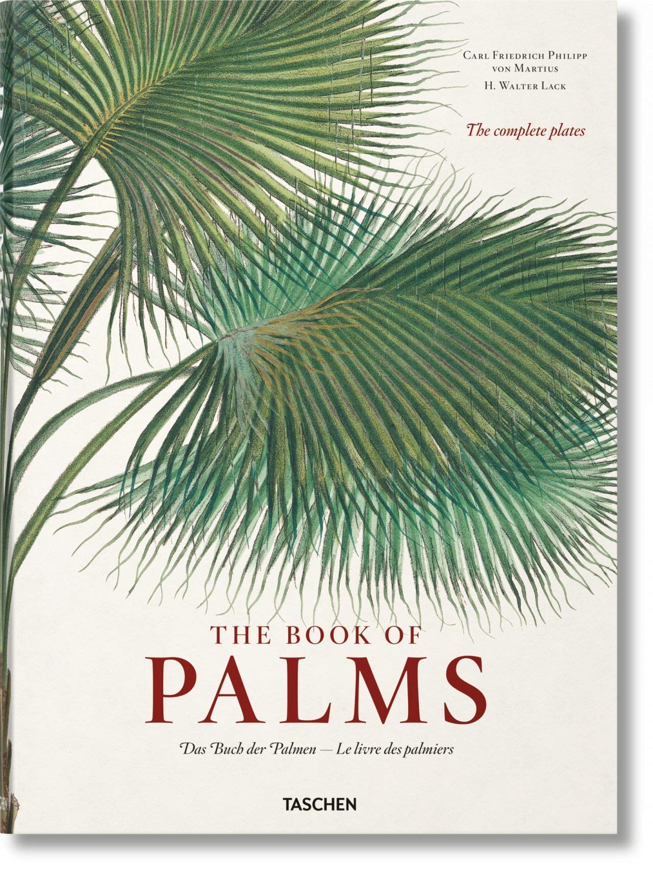 Libro: Book Of Palms: The Book of Palms (Fantastic Price)