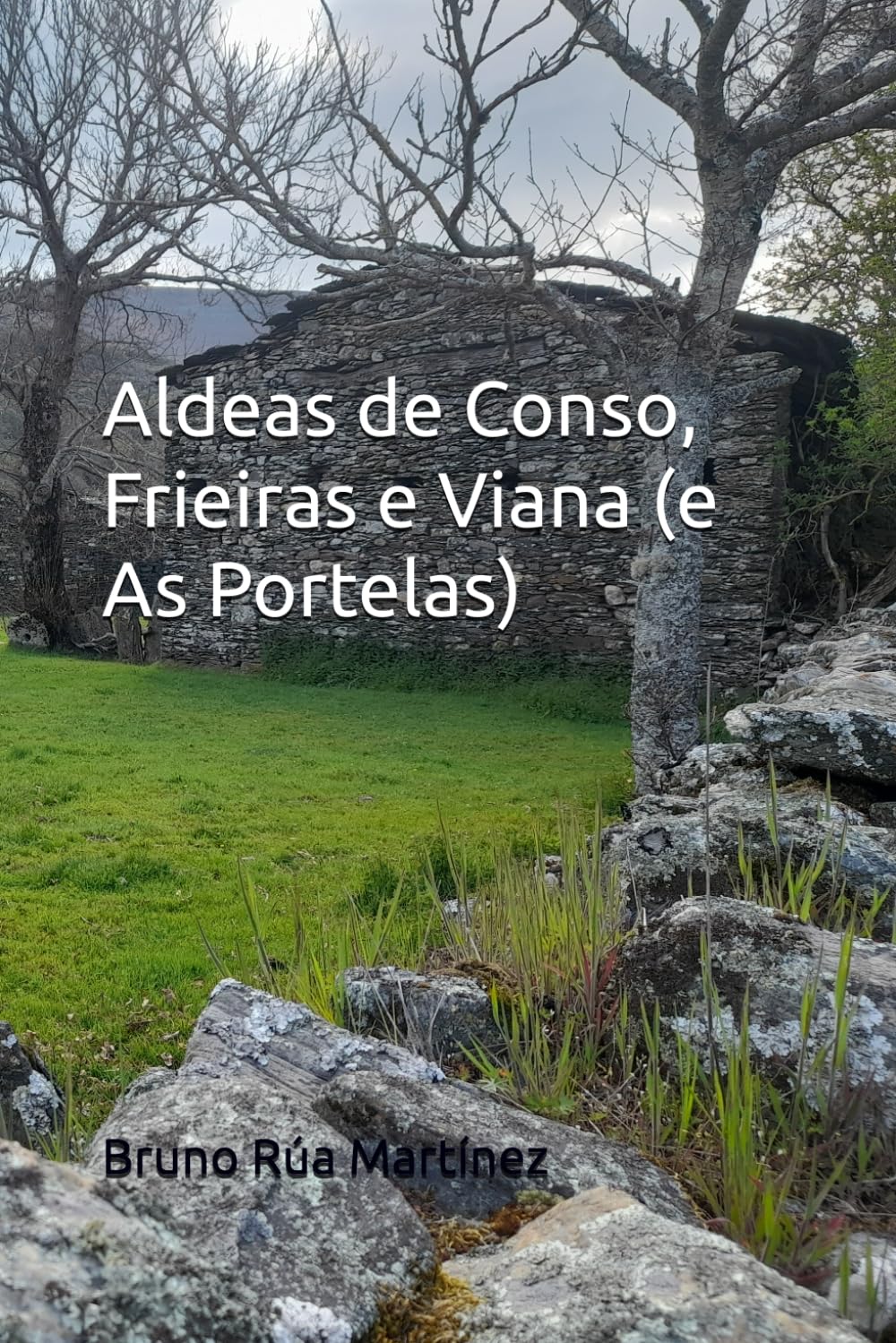 Libro: Aldea de Conso, Frieiras e Viana (e As Portelas)