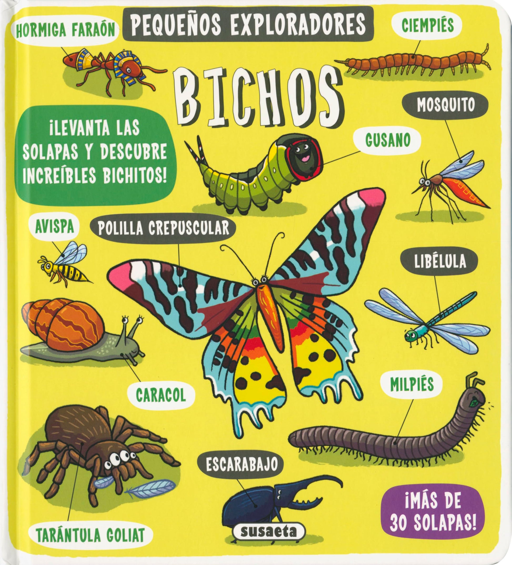 Libro: Susaeta - Bichos (Pequeños exploradores)