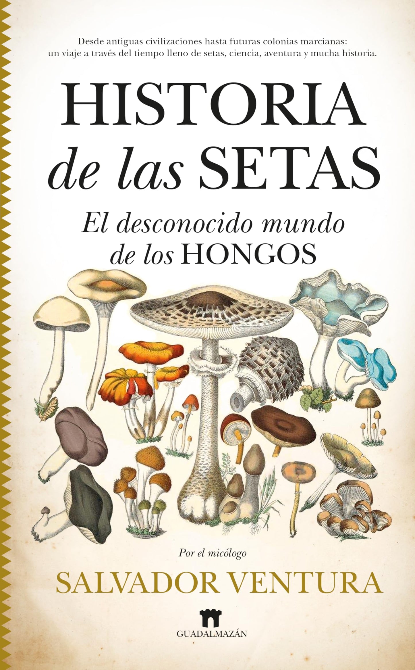 Libro: Historia de las setas: El desconocido mundo de los hongos (Spanish Edition)