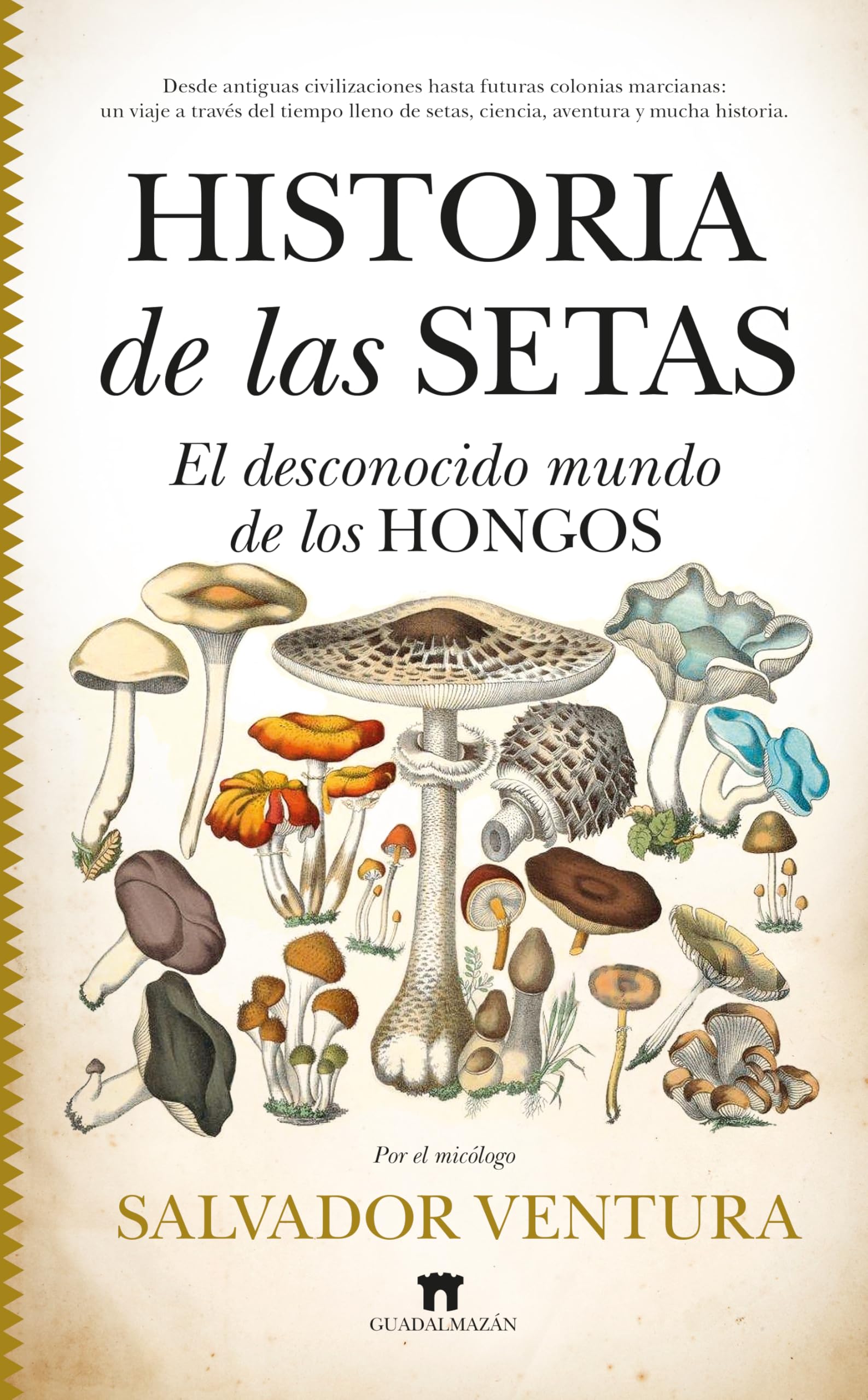 Libro: Historia de las setas: El desconocido mundo de los hongos (Spanish Edition)