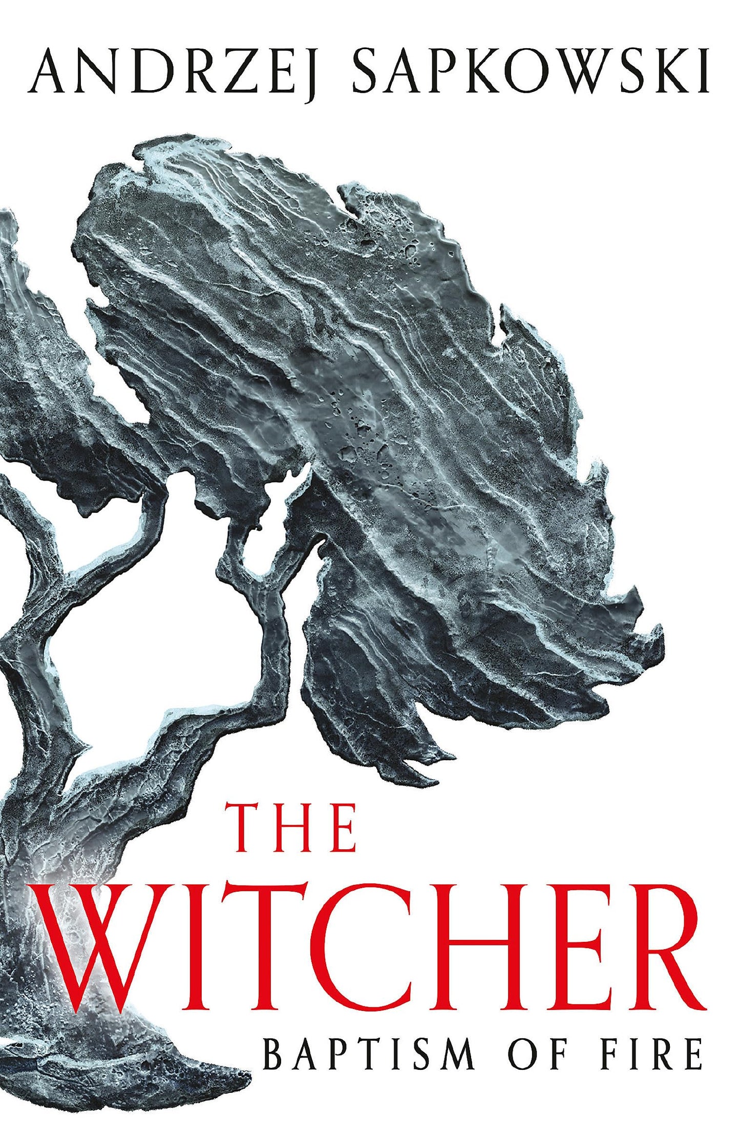 Libro: Baptism of Fire: Witcher 3 – Now a major Netflix show (The Witcher)