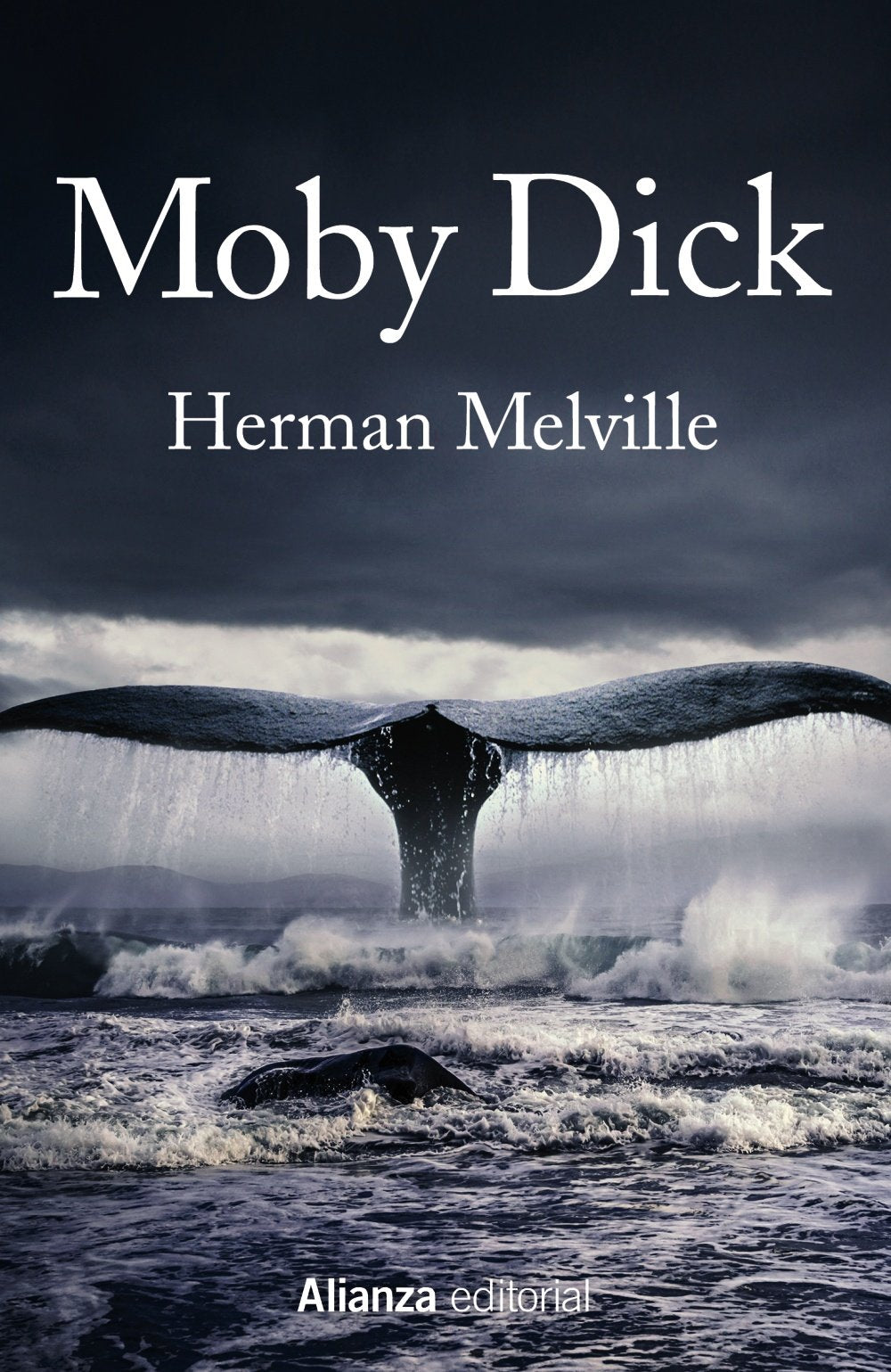 Libro: Moby Dick (13/20)