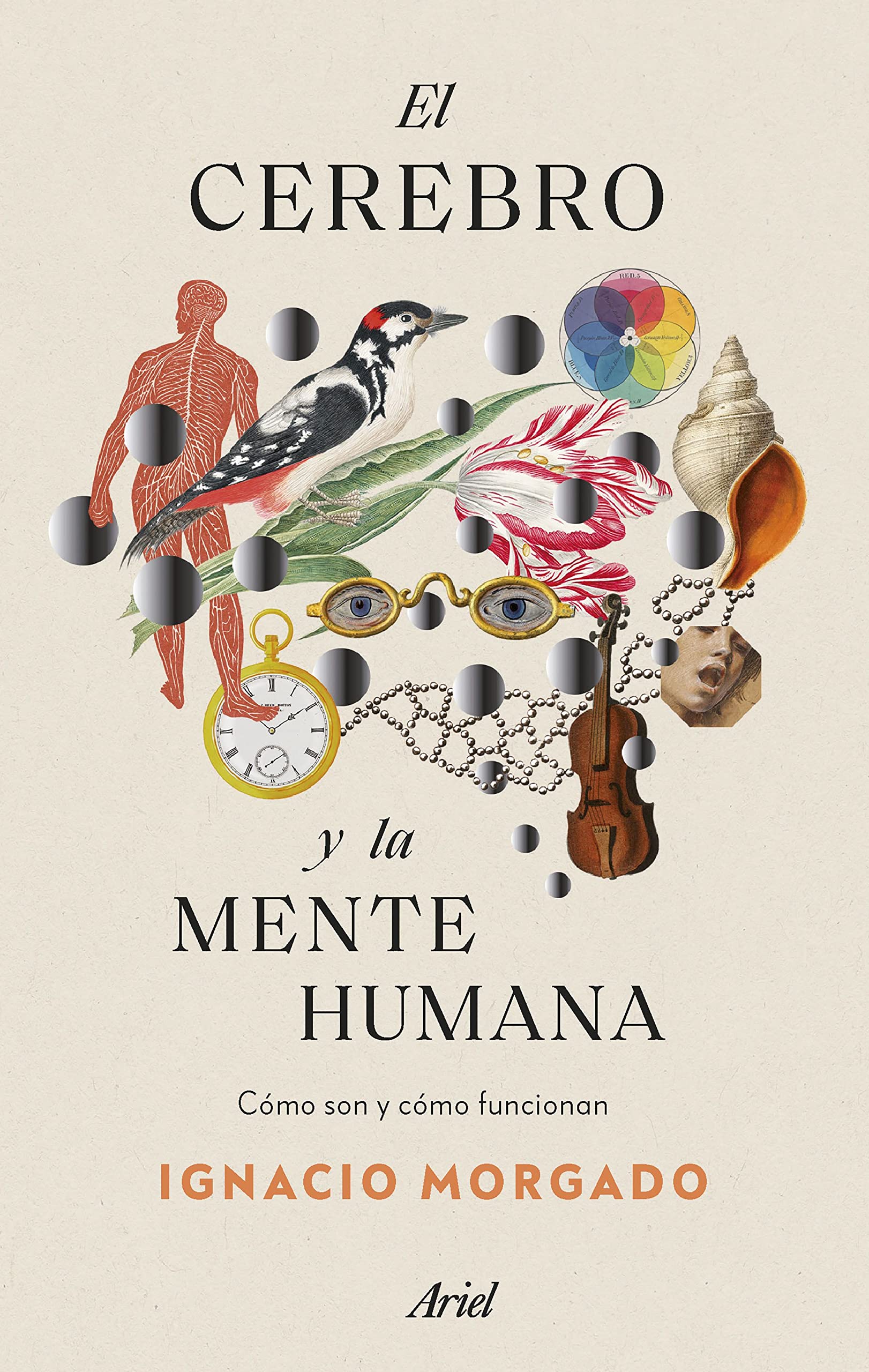 Libro: El cerebro y la mente humana: Cómo son y cómo funcionan (Ariel)