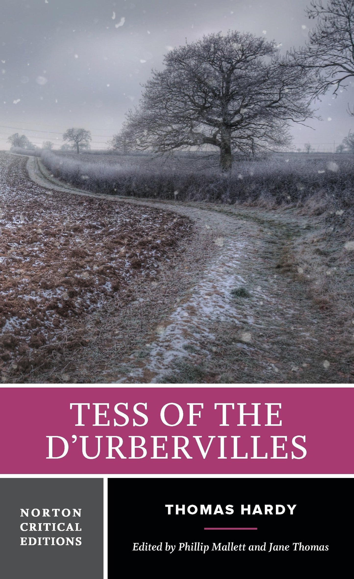 Libro: Tess of the D’urbervilles (Norton Critical Editions)