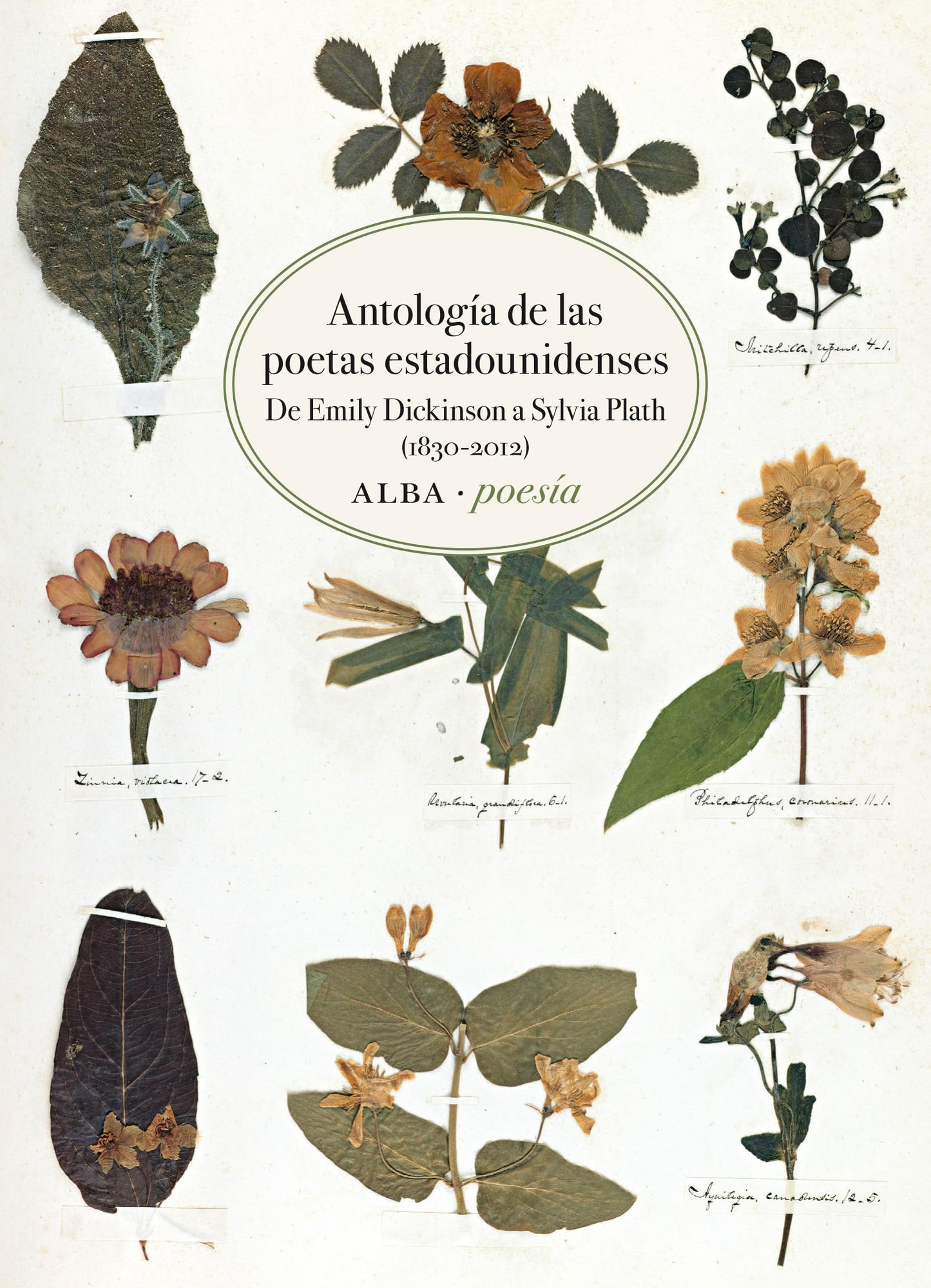 Libro: Antología de las poetas estadounidenses: De Emily Dickinson a Sylvia Plath (1830-2012): 19 (Alba Poesía)