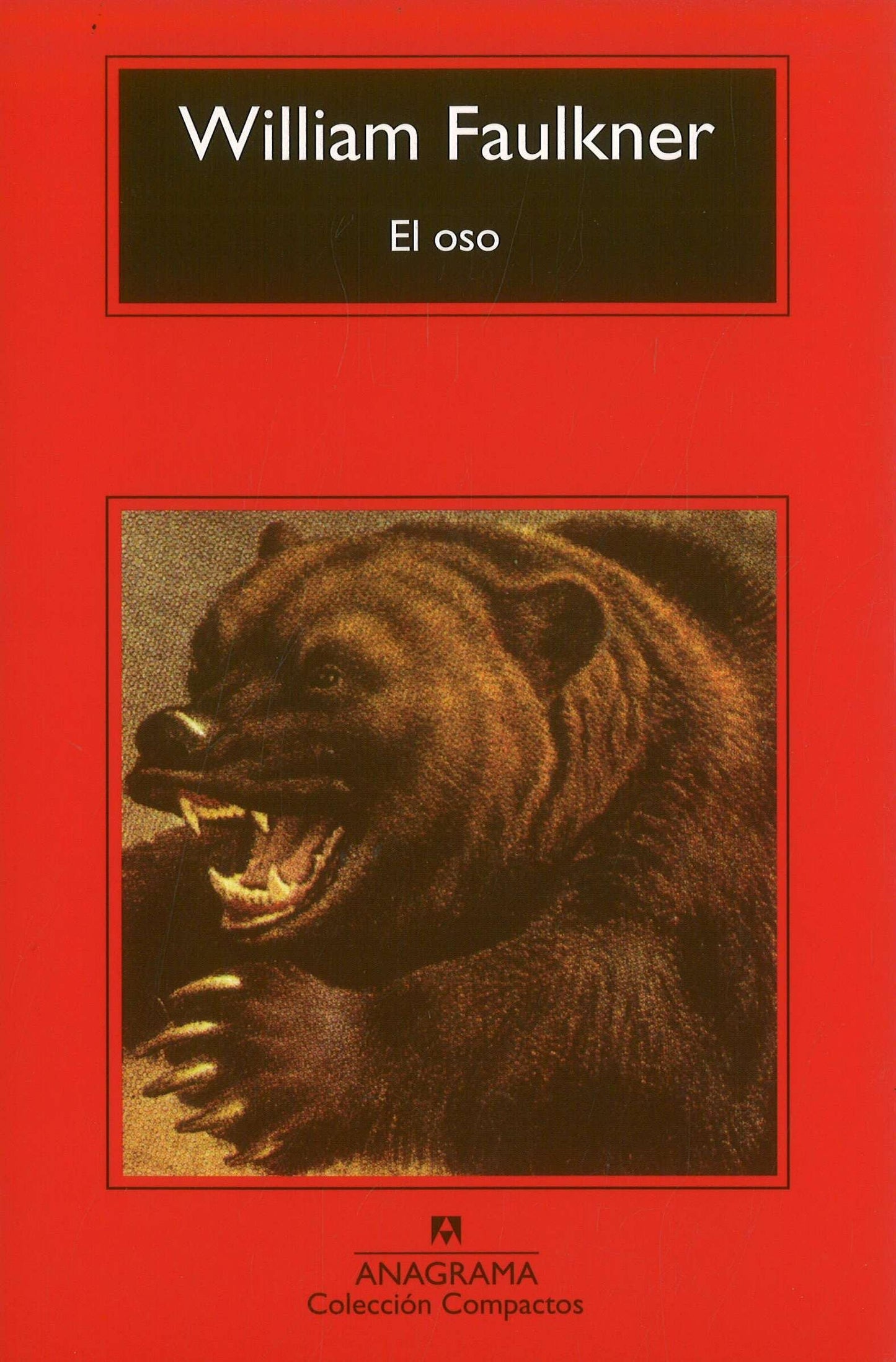 Libro: El oso: 20 (Compactos)