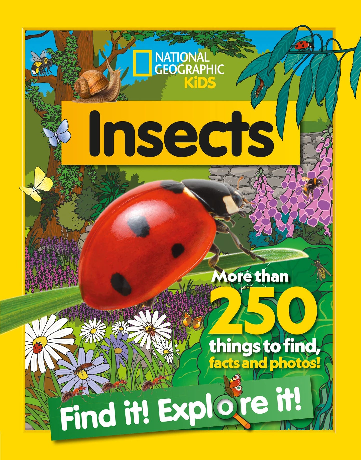 Libro: Insects Find it! Explore it!: More Than 250 Things to Find, Facts and Photos! (National Geographic Kids)