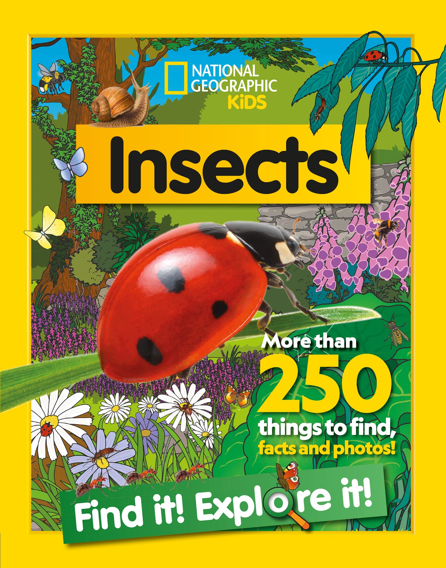 Libro: Insects Find it! Explore it!: More Than 250 Things to Find, Facts and Photos! (National Geographic Kids)