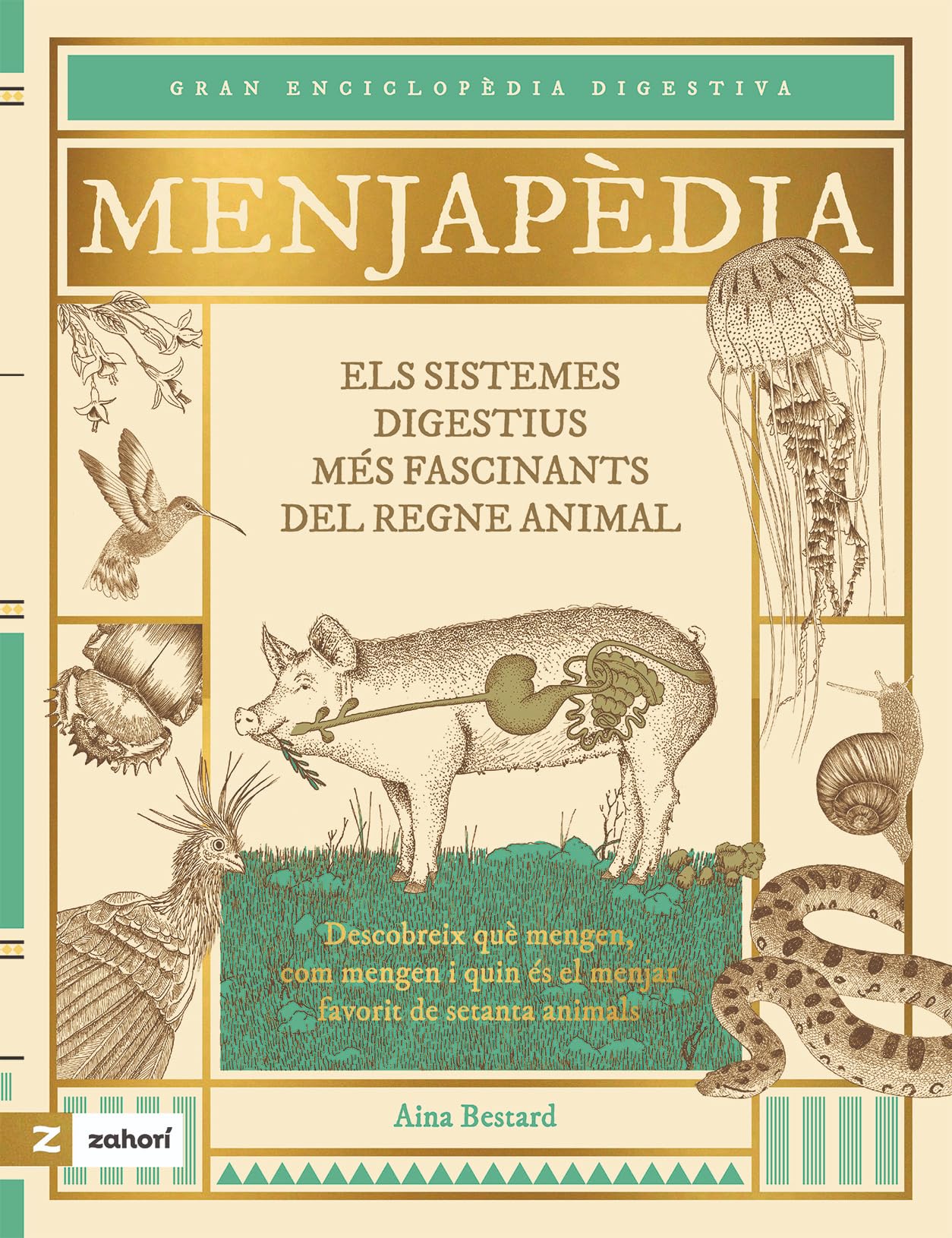 Libro: Menjapèdia: Els sistemes digestius més fascinants del regne animal
