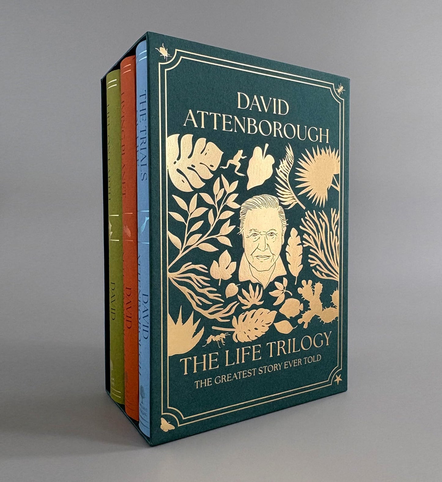 Libro: The Life Trilogy Boxset: The Greatest Story Ever Told