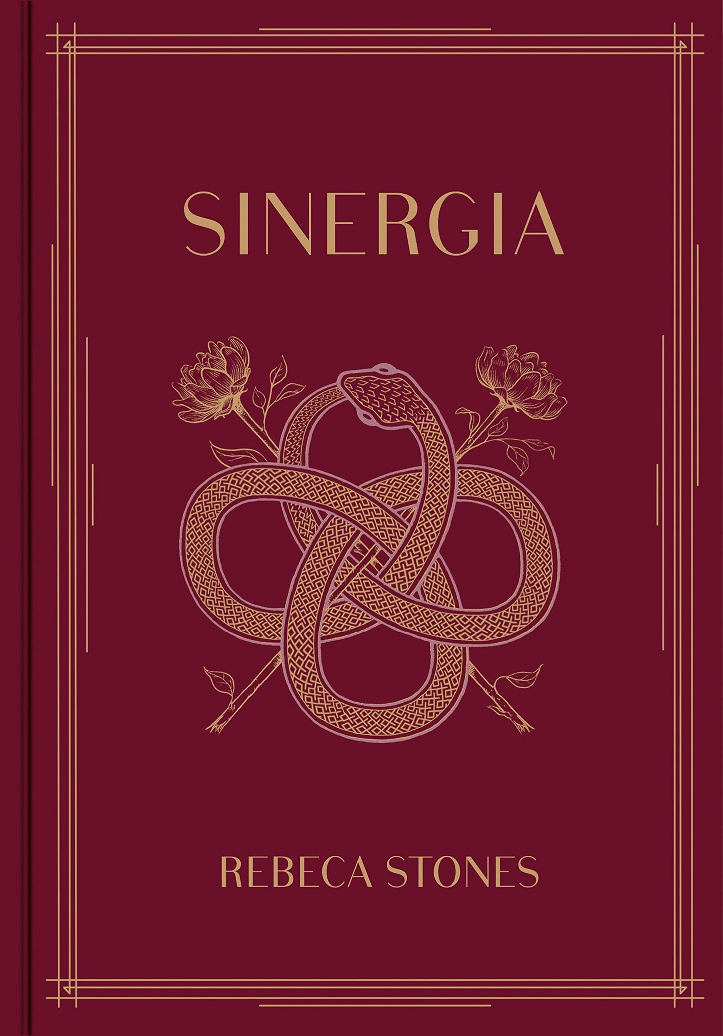 Libro: Sinergia