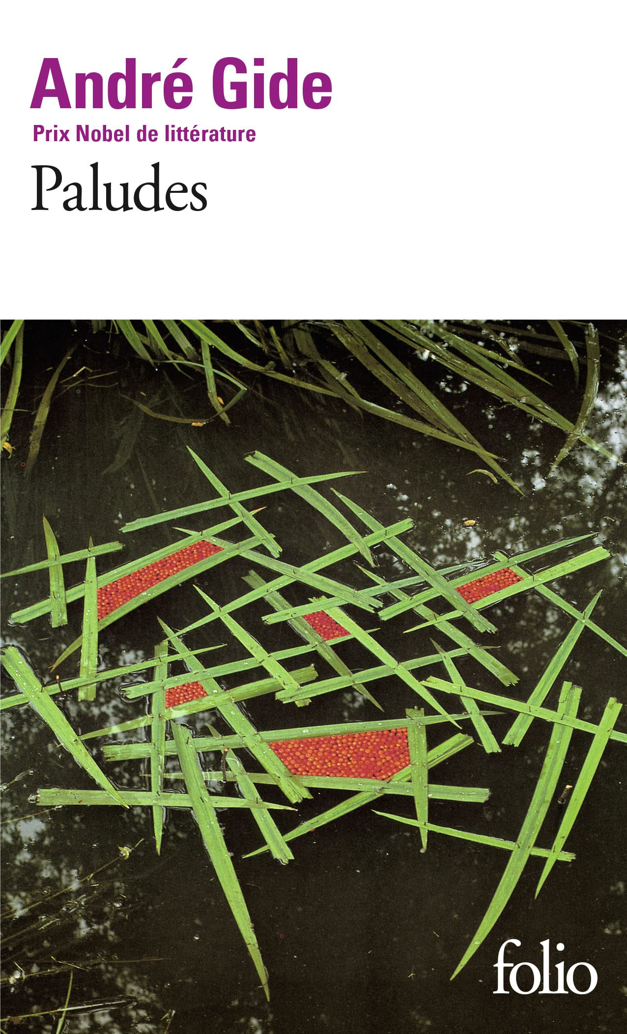 Libro: Paludes