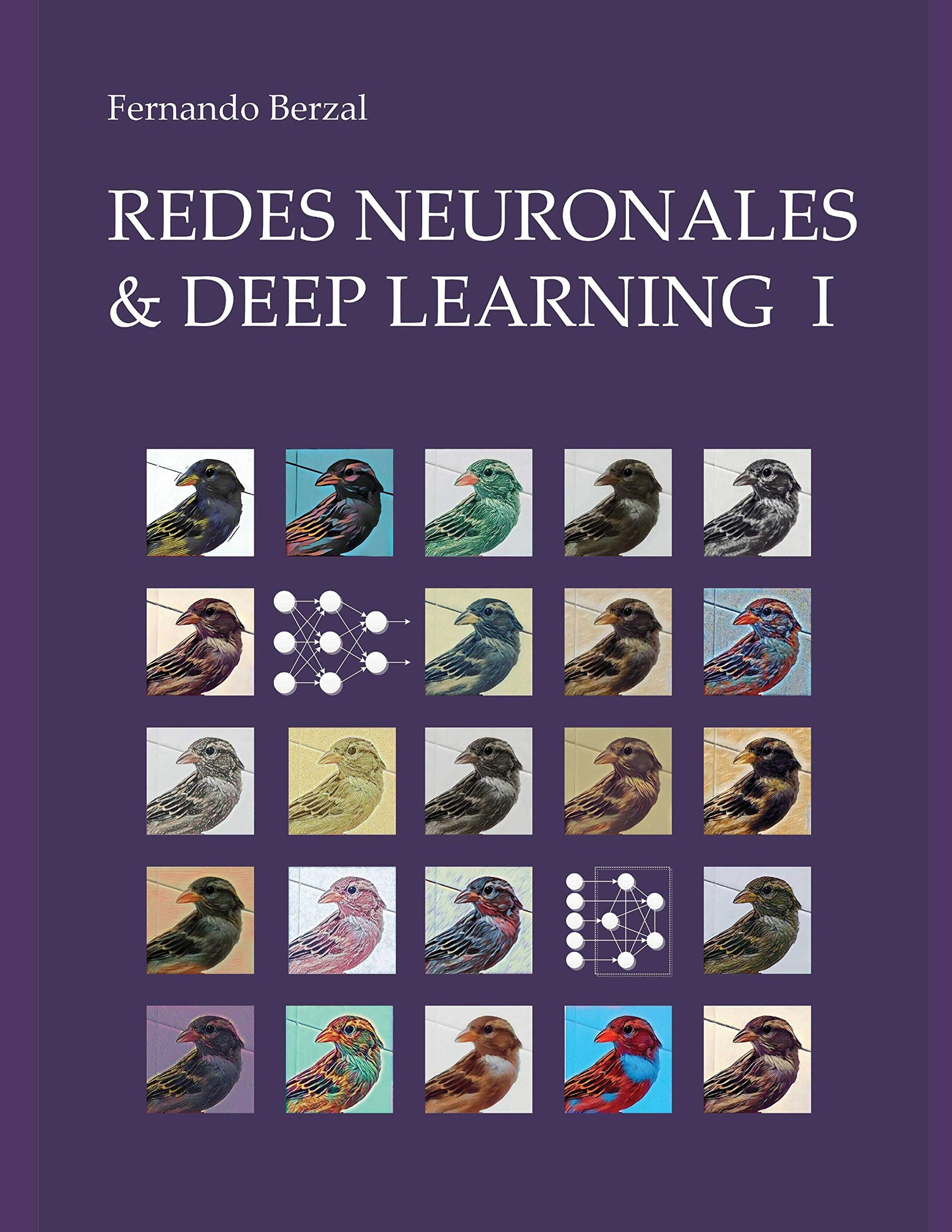 Libro: Redes Neuronales & Deep Learning - Volumen 1: Entrenamiento de redes neuronales artificiales [formato 8.5" x 11"]