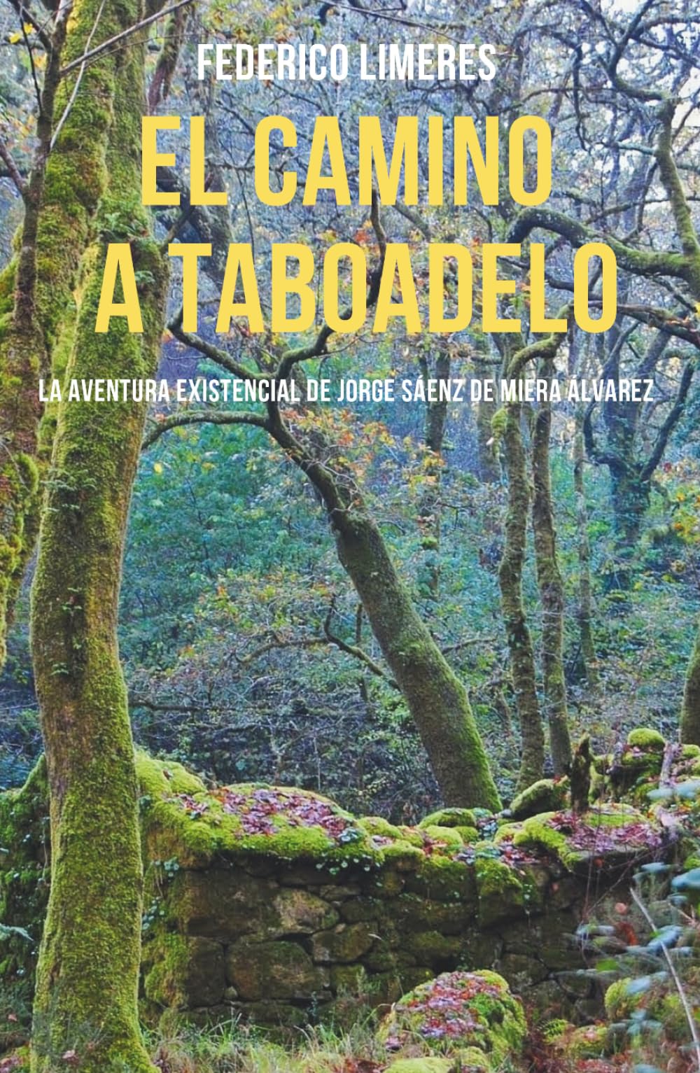 Libro: EL CAMINO A TABOADELO: La aventura existencial de Jorge Sáenz de Miera Álvarez (Spanish Edition)