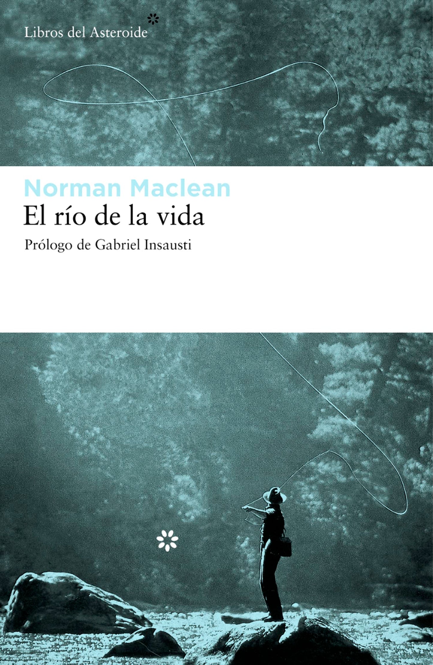 Libro: Rio De La Vida,El