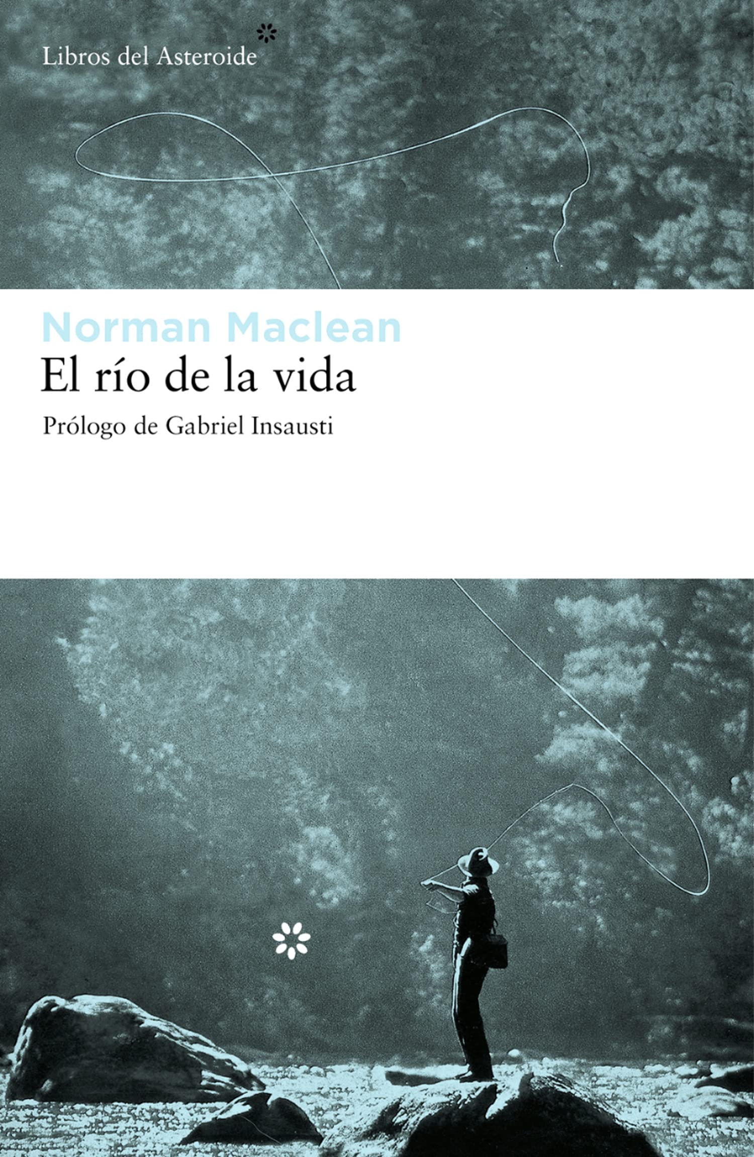 Libro: Rio De La Vida,El