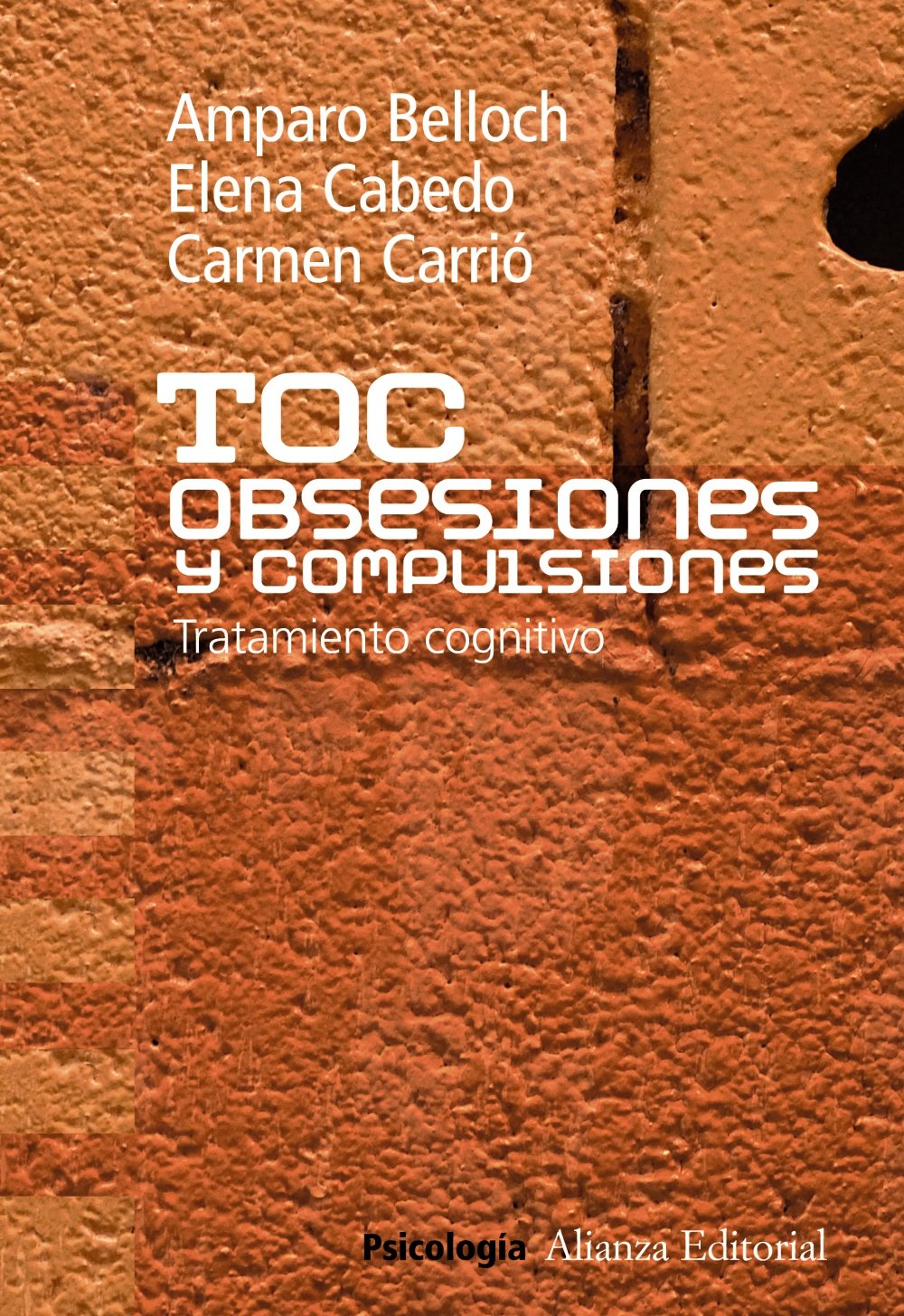 Libro: TOC. Obsesiones y compulsiones: Tratamiento cognitivo del Trastorno Obsesivo Compulsivo (Alianza Ensayo)