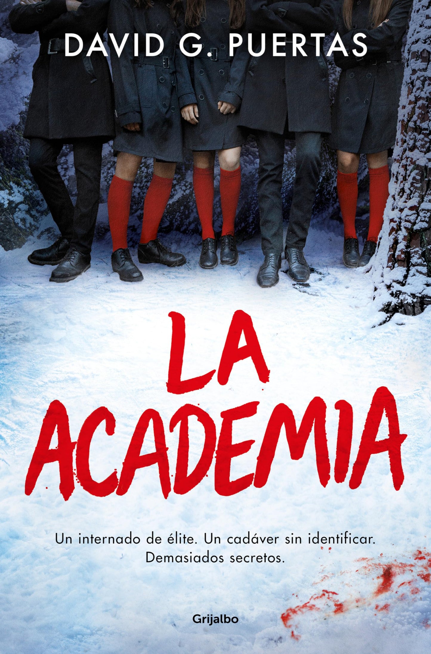 Libro: La academia / The Academy (Spanish Edition)
