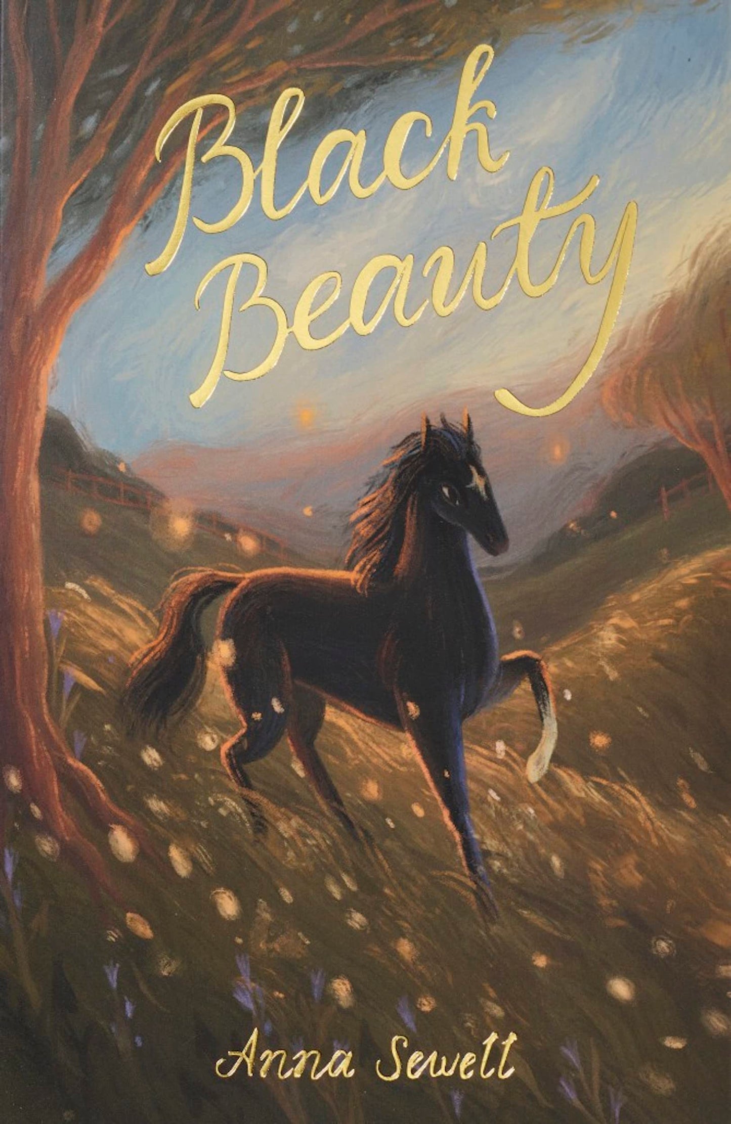 Libro: Black Beauty (Wordsworth Exclusive Collection)