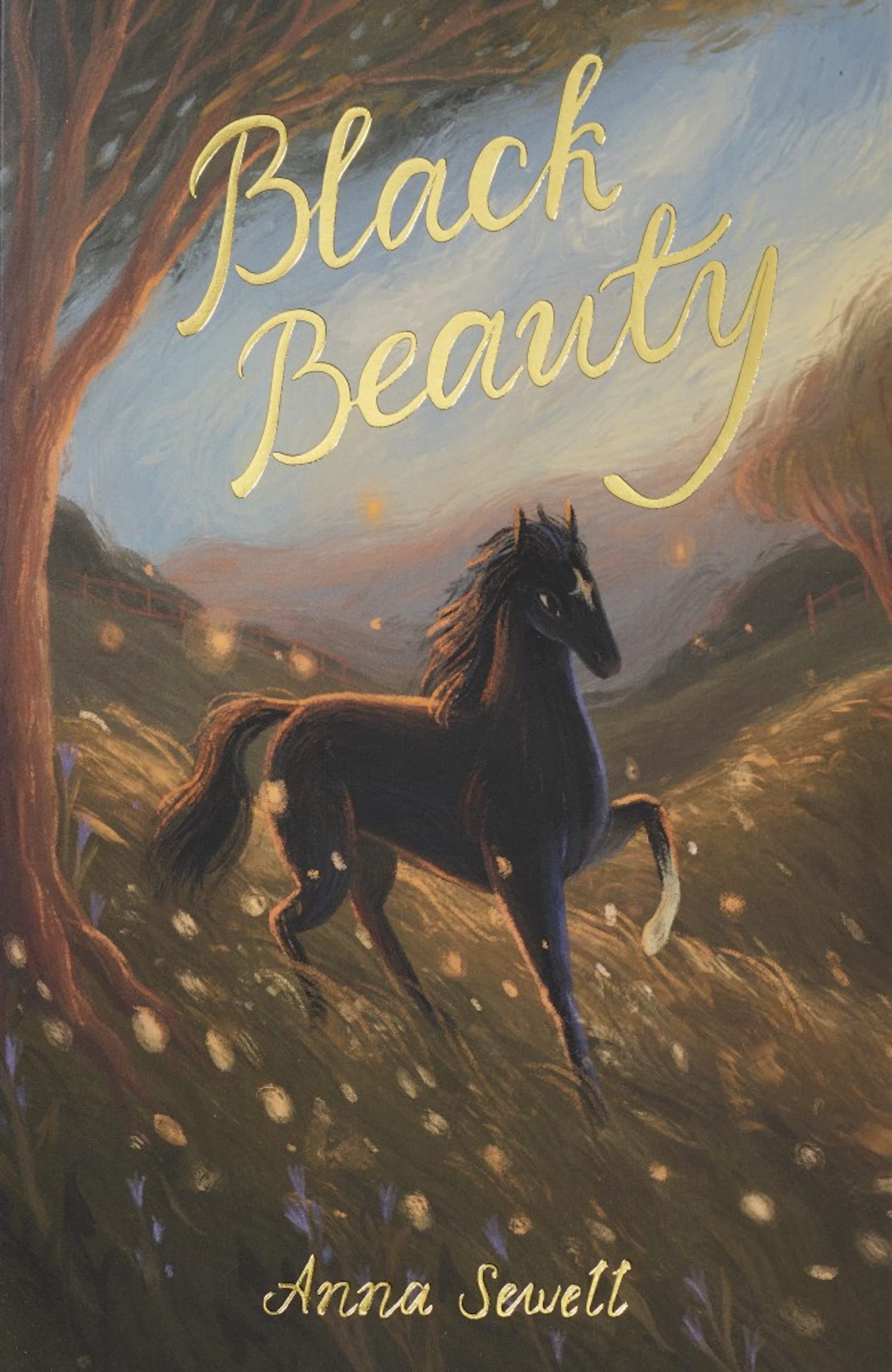 Libro: Black Beauty (Wordsworth Exclusive Collection)
