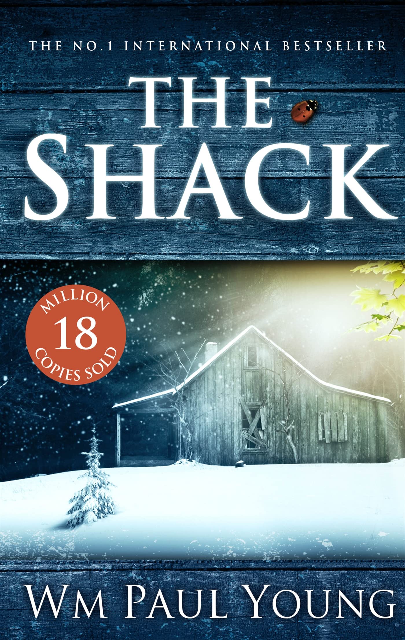 Libro: The Shack