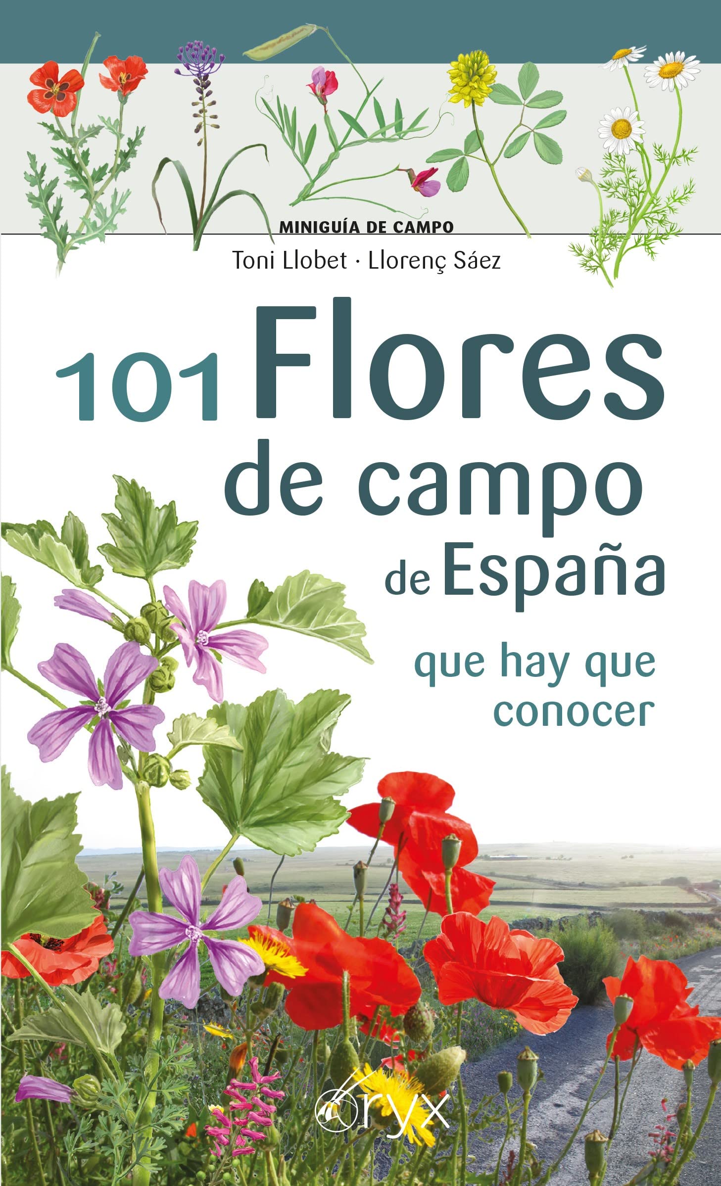 Libro: 101 Flores De Campo De España - Que Hay Que Conocer (Miniguía de campo)