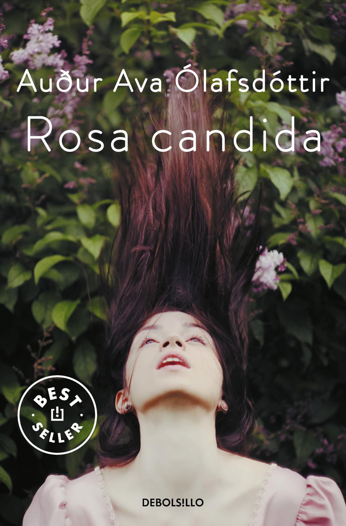 Libro: Rosa candida