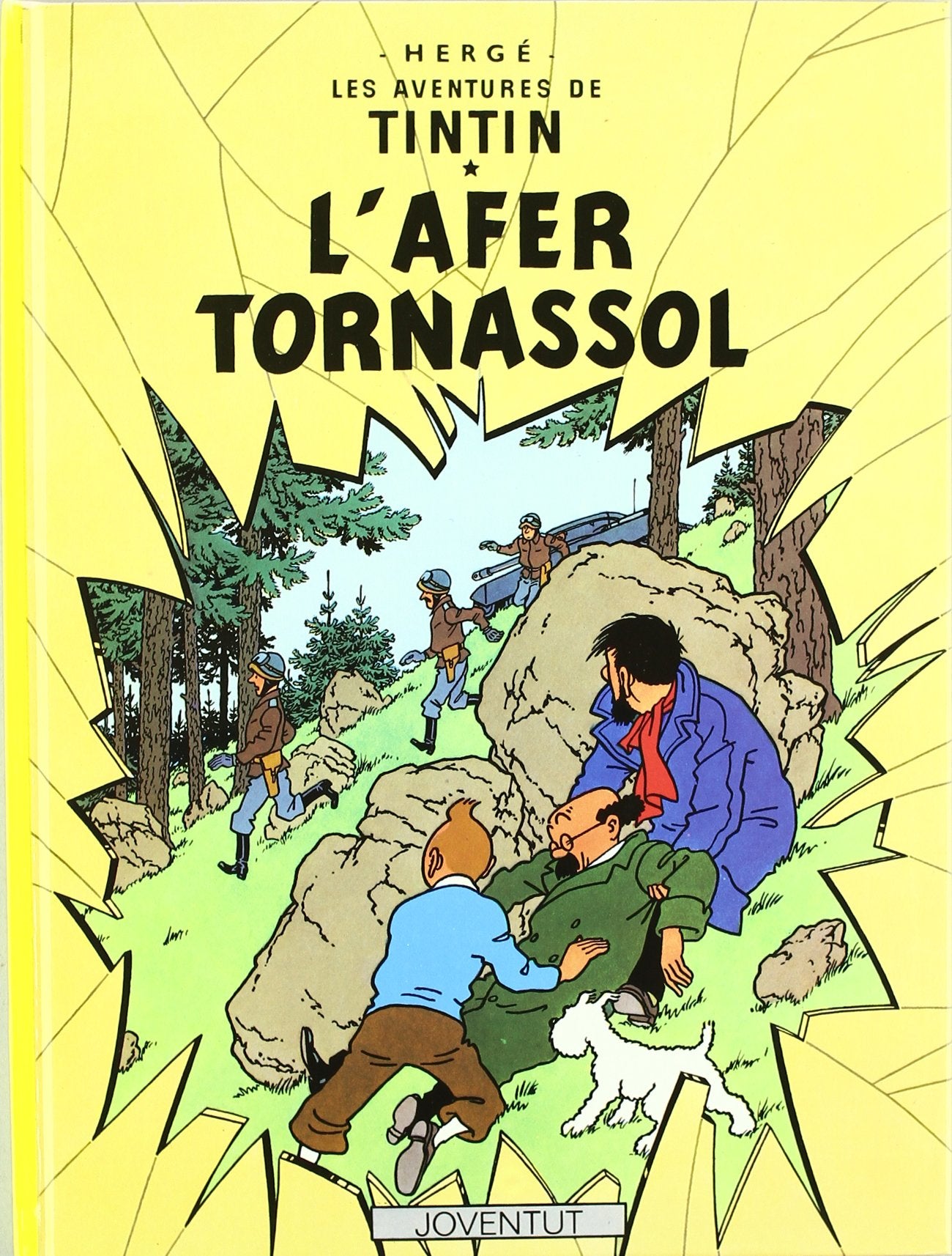 Libro: L'afer Tornassol (LES AVENTURES DE TINTIN CATALA)