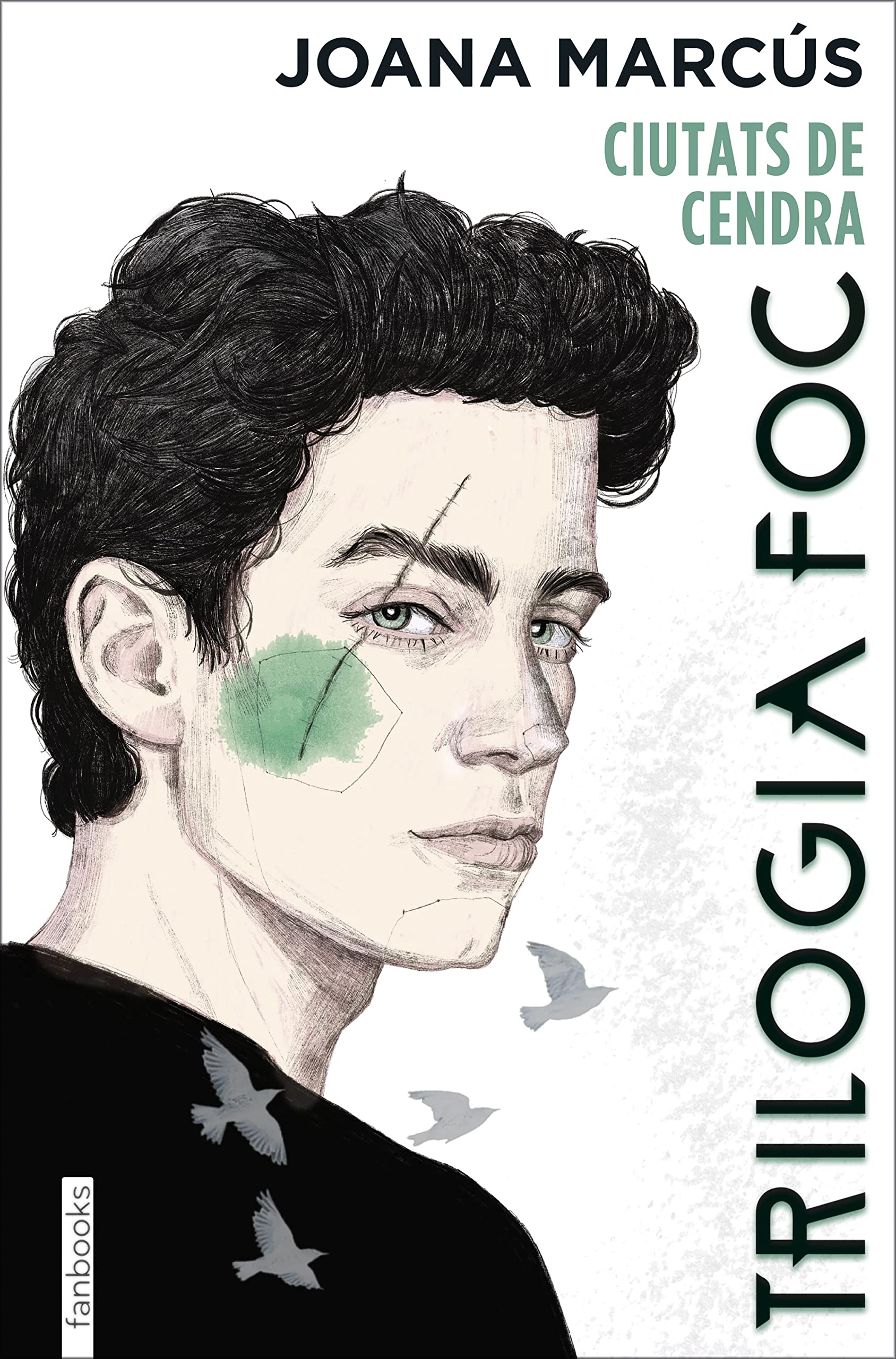 Libro: Trilogia Foc 2: Ciutats de cendra