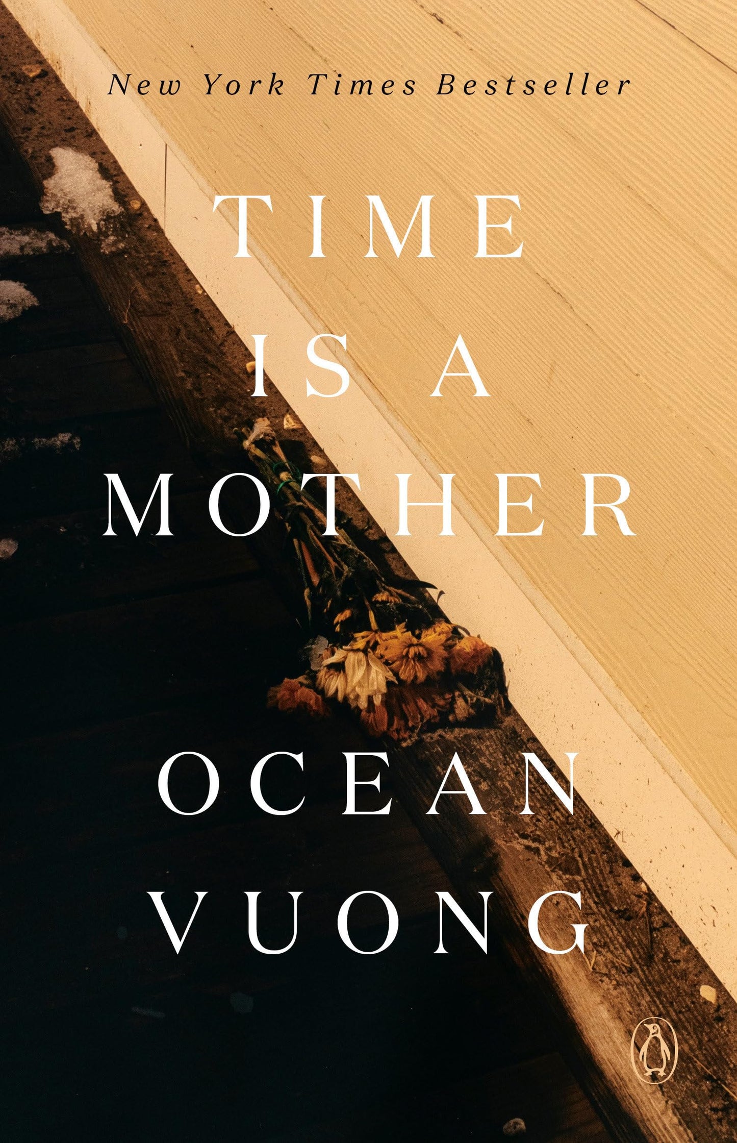 Libro: Time Is a Mother