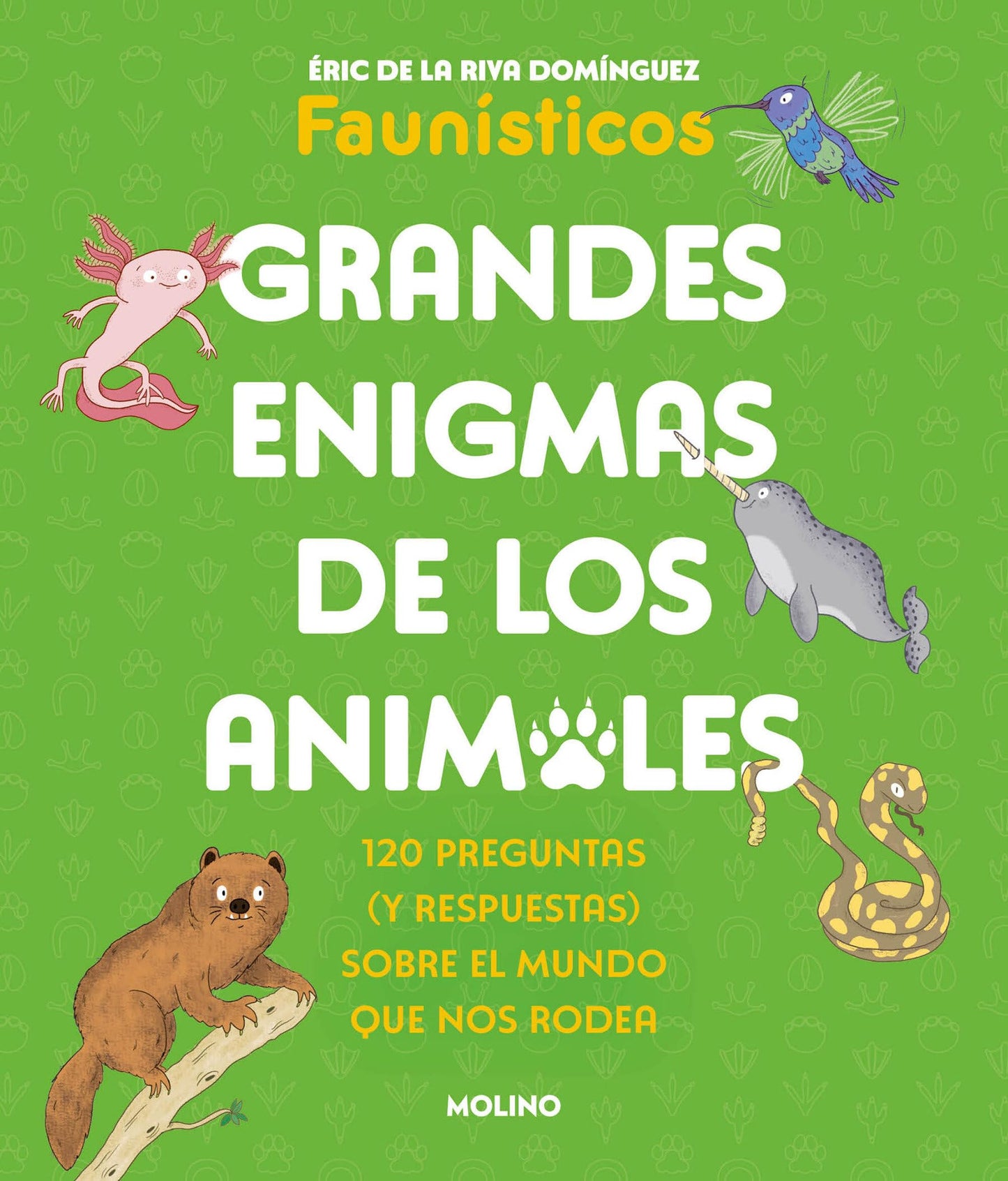 Libro: Grandes enigmas de los animales (Colección Grandes enigmas): 120 preguntas (y respuestas) sobre el mundo que nos rodea (No ficción infantil)