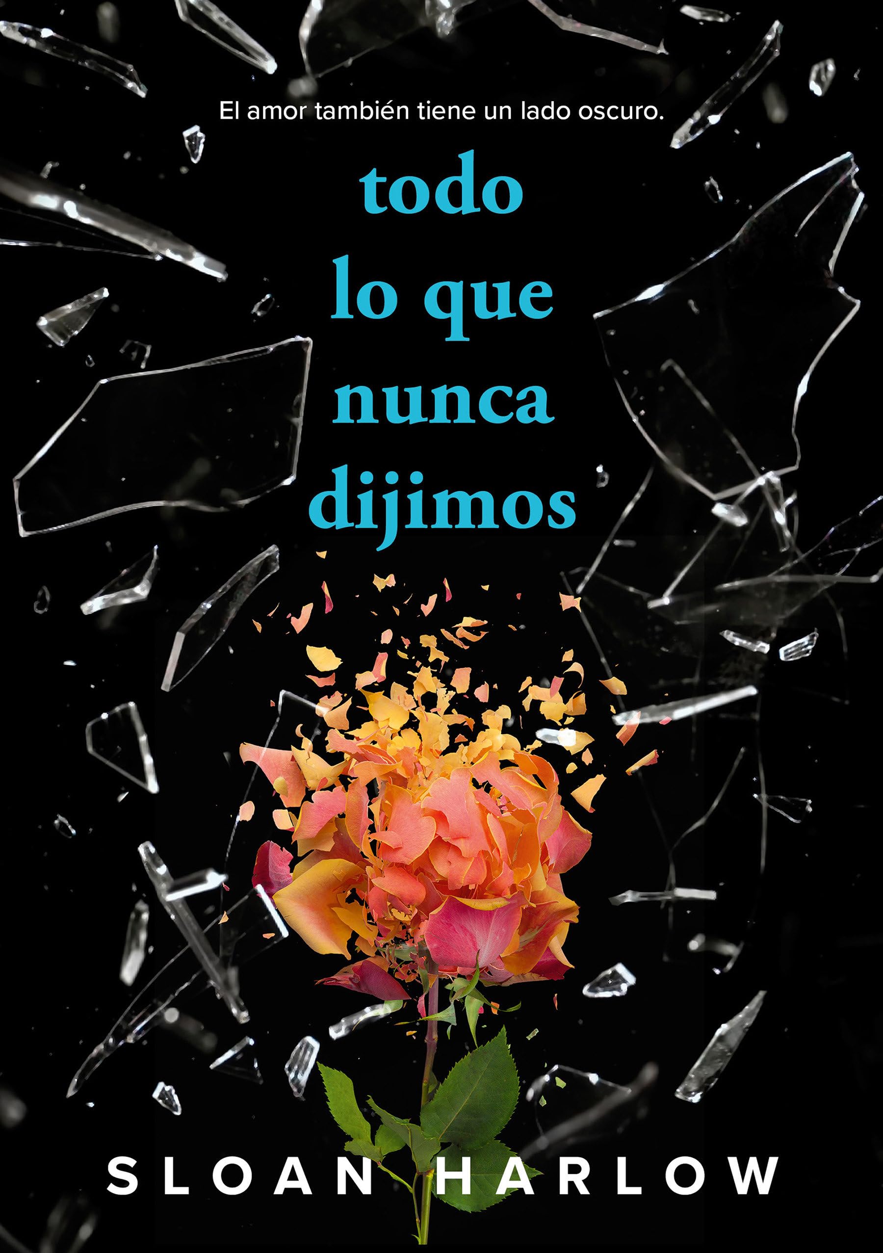 Libro: Todo lo que nunca dijimos / Everything We Never Said (Spanish Edition)