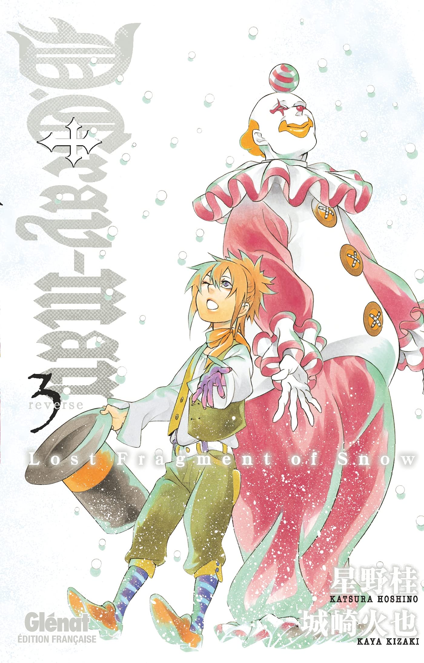 Libro: Lost fragment of Snow