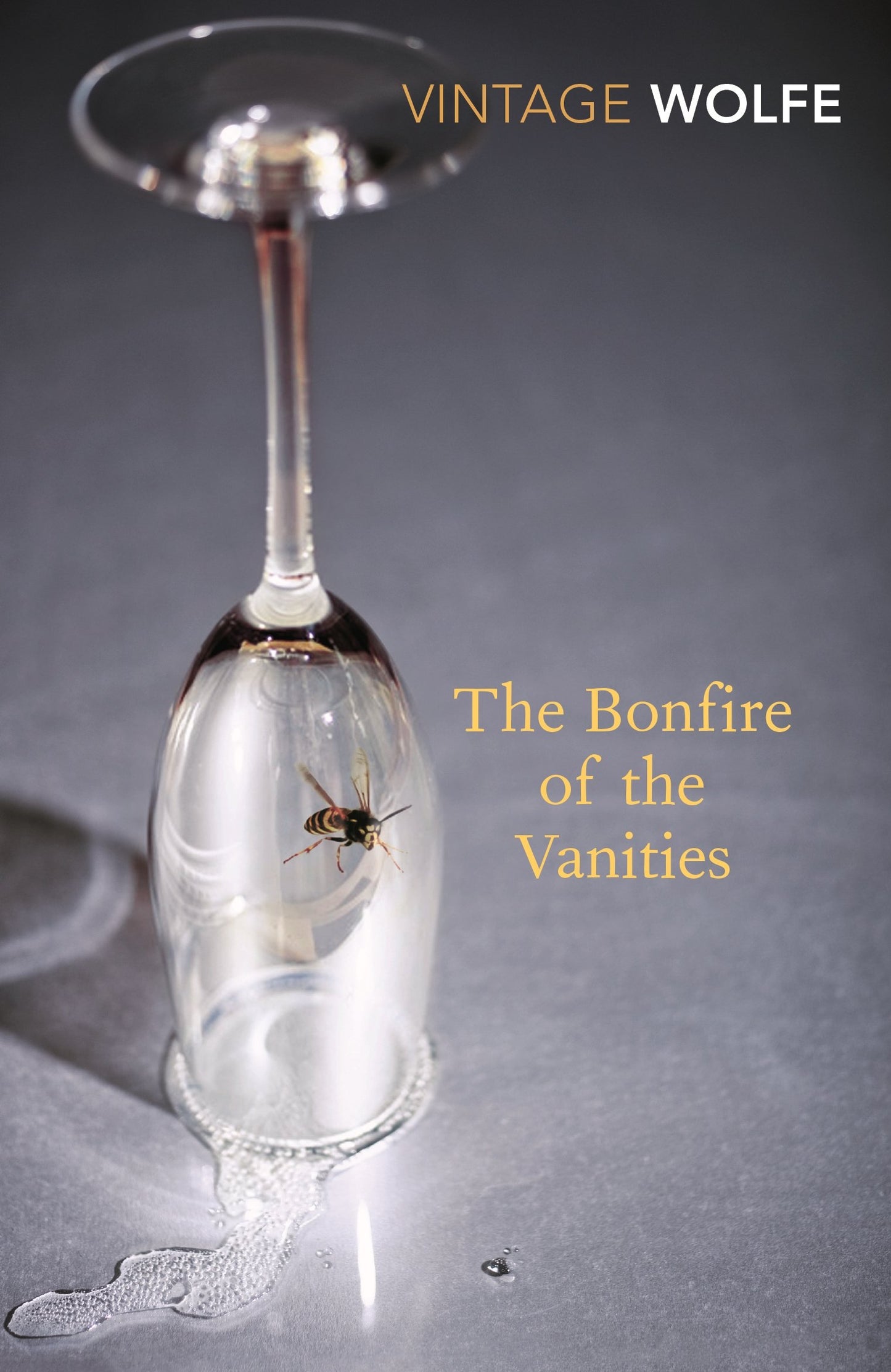 Libro: Bonfire of the Vanities