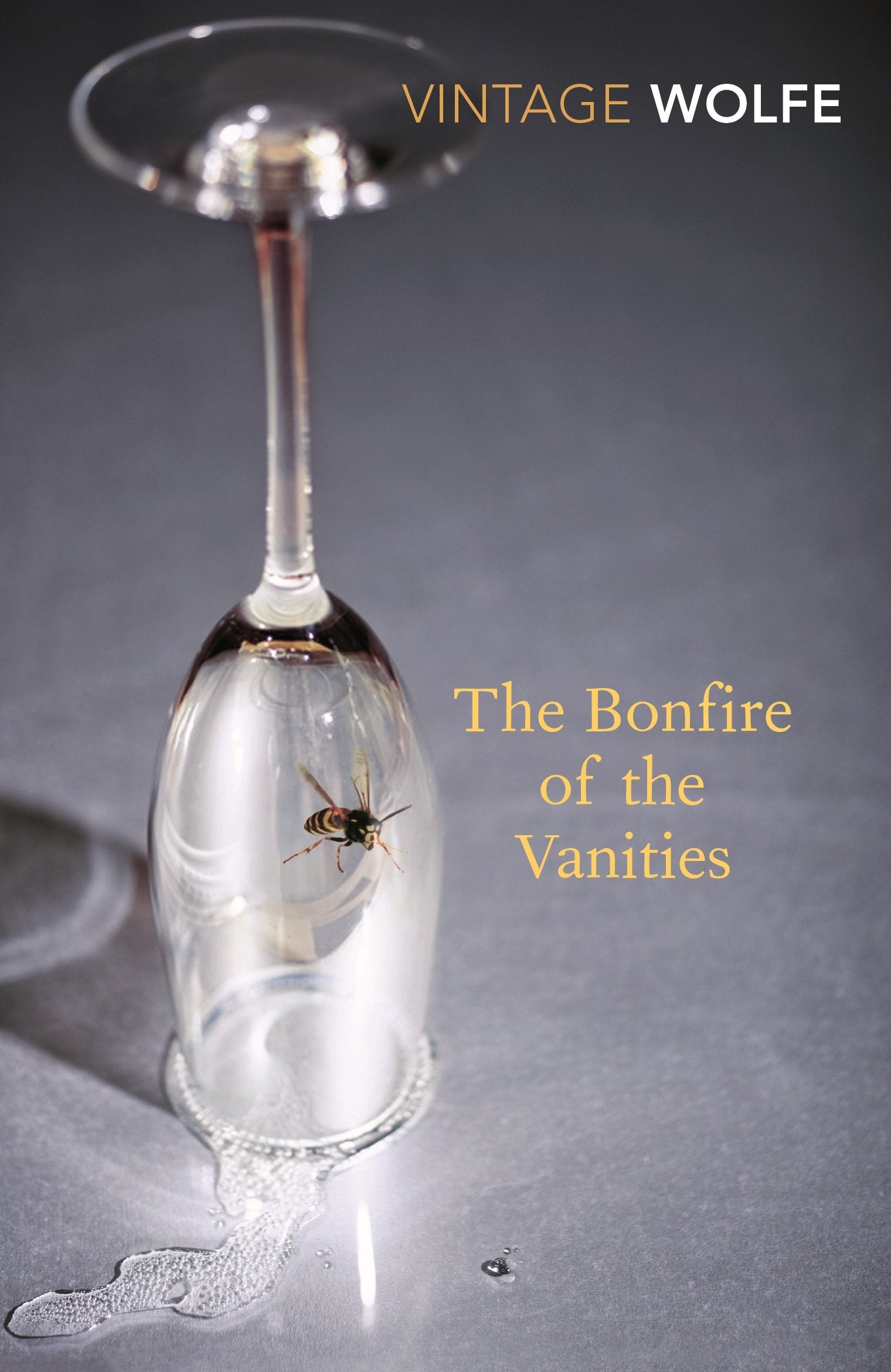 Libro: Bonfire of the Vanities